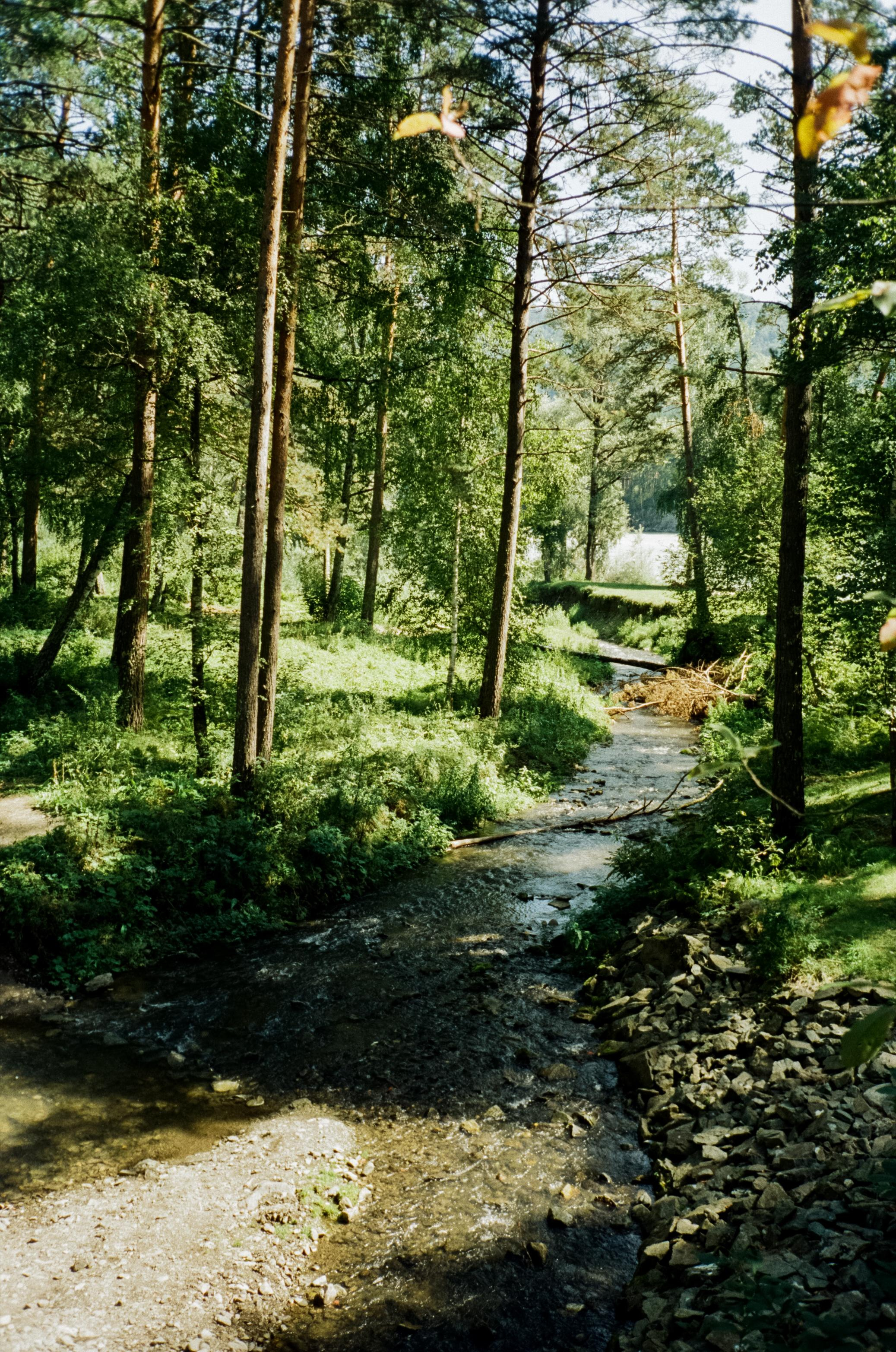 Озеро Ая на закате и Камышлинский водопад. Фотограф-документалист Мария Осокина
