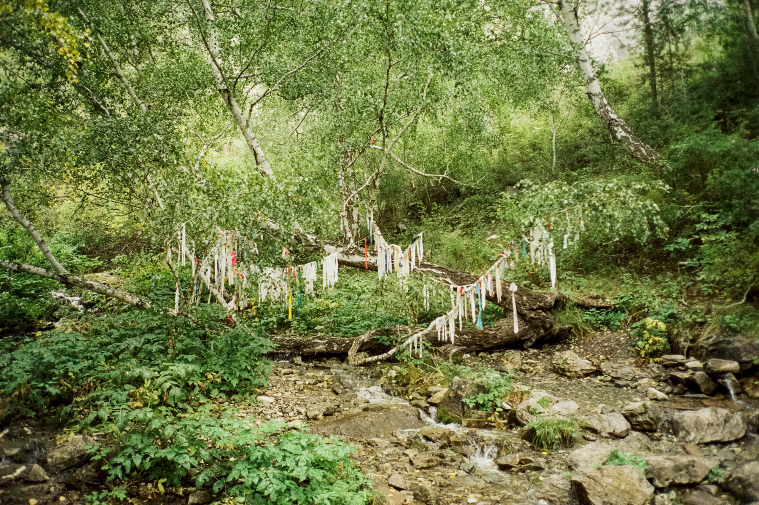 Урочище Чечкыш. Виды на Заячий остров и Разбитое сердце Катуни. Водопа. Фотограф-документалист Мария Осокина