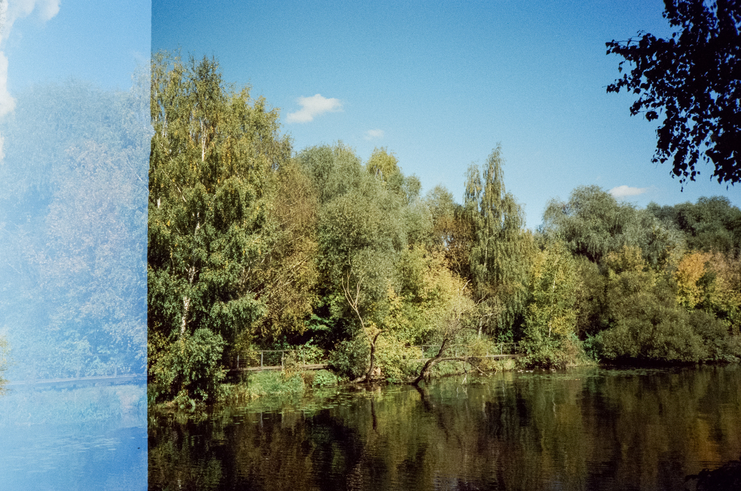 Строгинский залив. Золотая осень. Фотограф-документалист Мария Осокина
