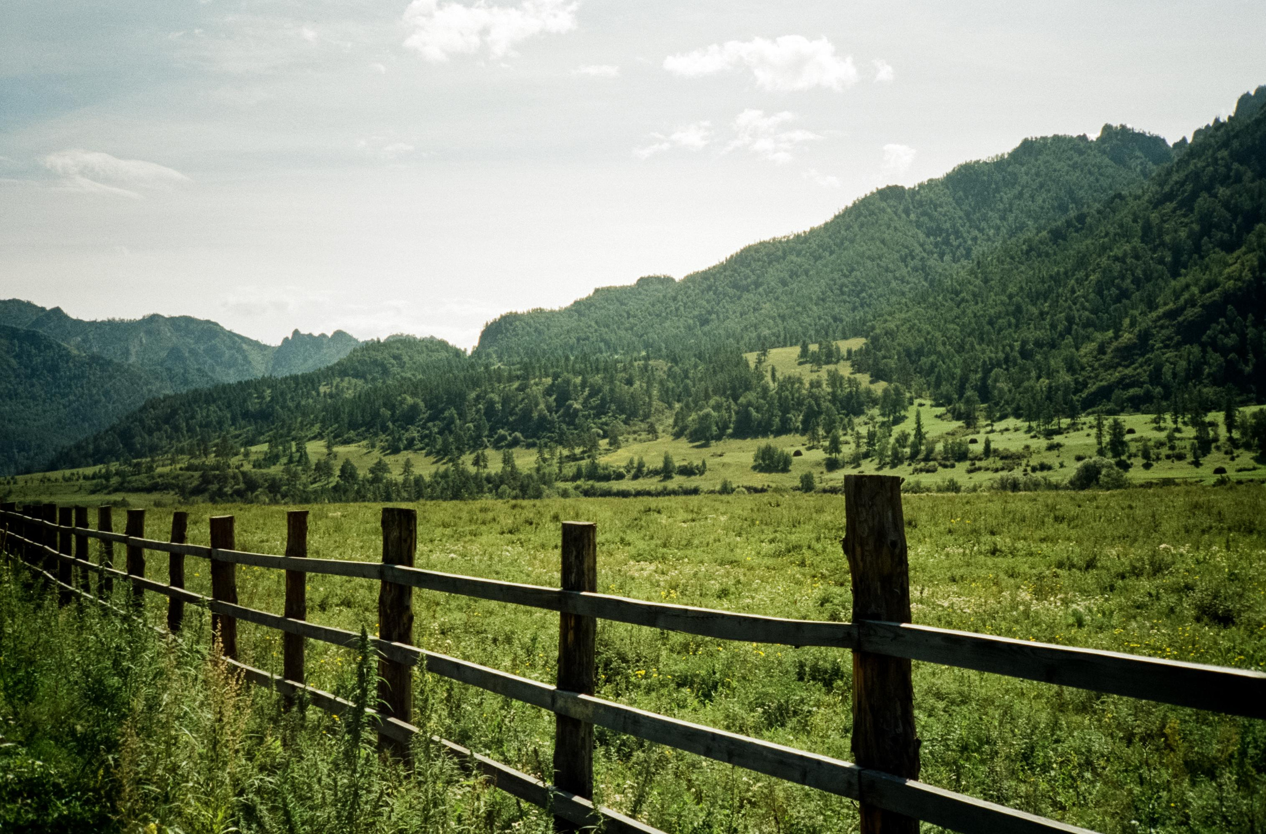 Чемальский тракт и Ороктойский мост. Фотограф-документалист Мария Осокина