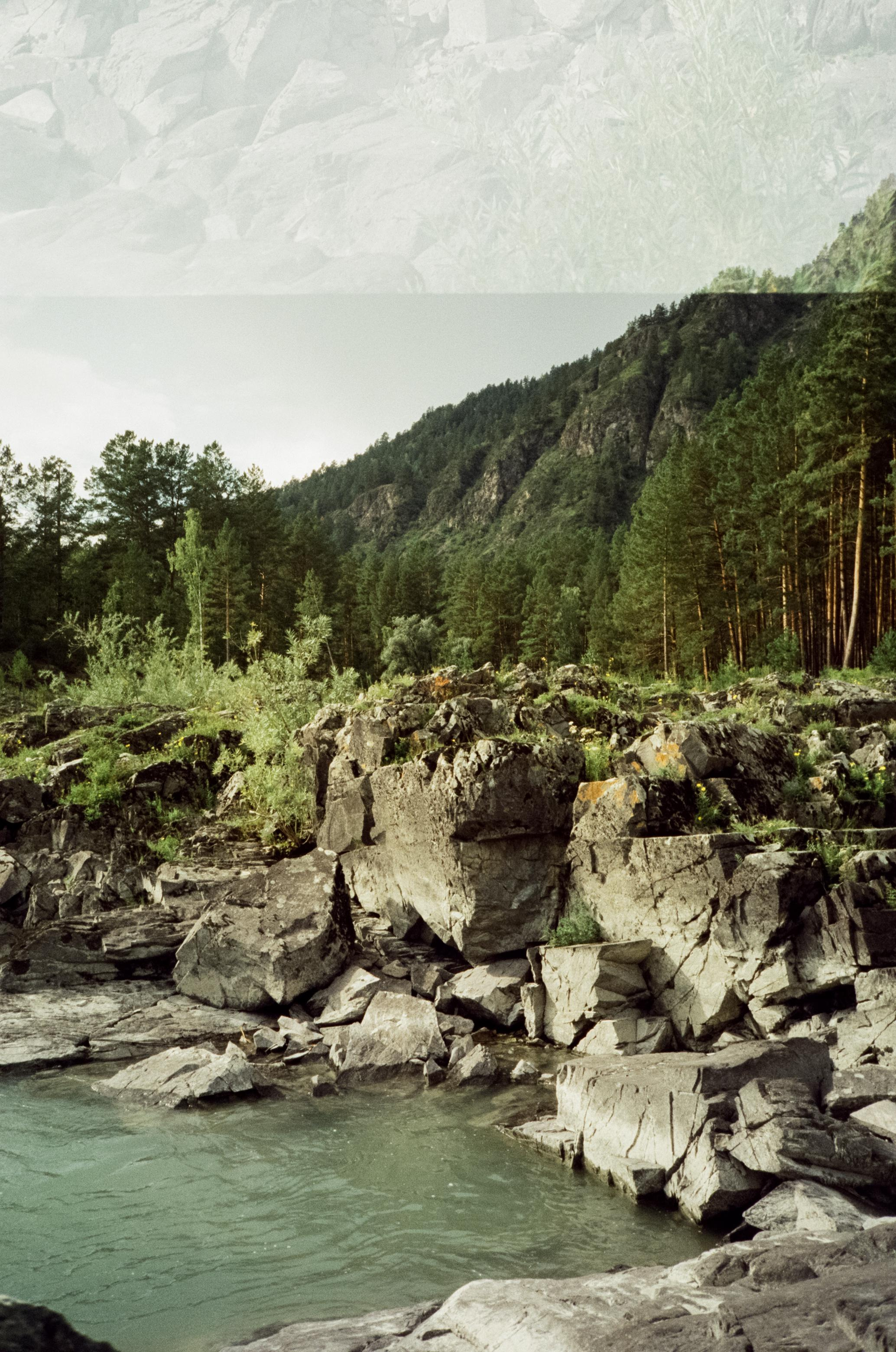 Coffee bus на Чемальском тракте и база Голубые озера. Фотограф-документалист Мария Осокина