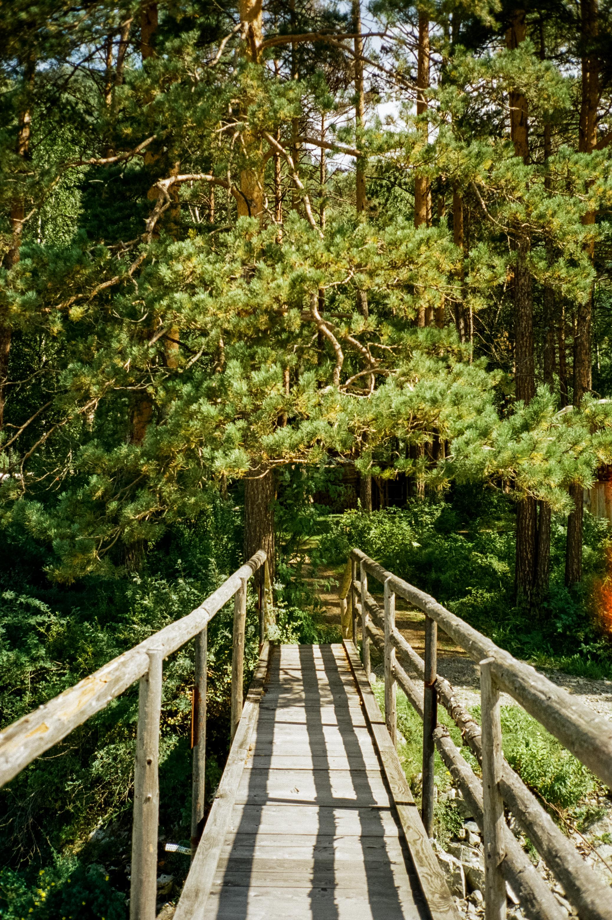 По следам моторафтинга: от Кызыл-Таш до моста к Бирюзовой Катуни. Фотограф-документалист Мария Осокина