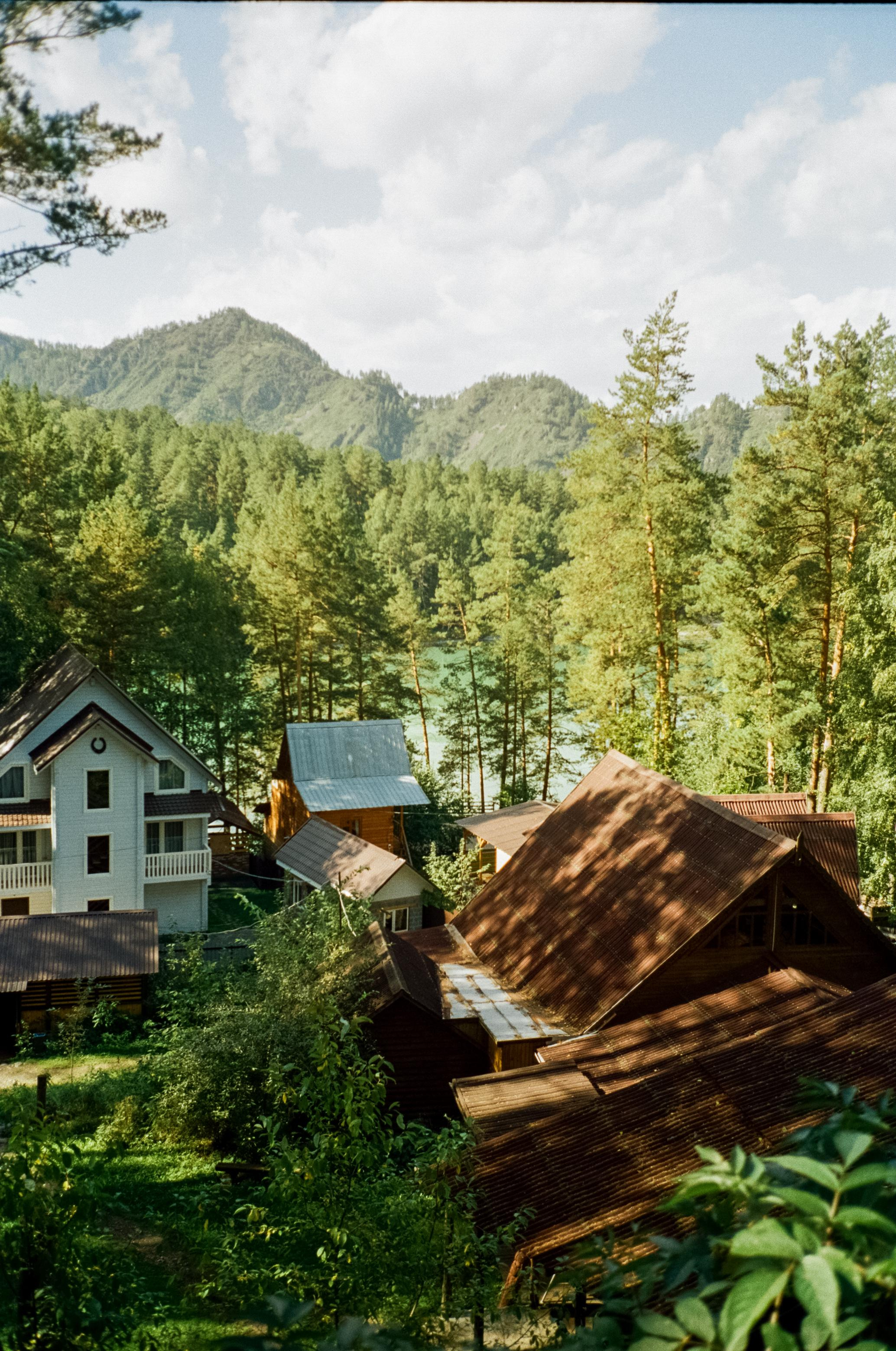 База Altai Star: сосновый лес, теремки и берег Катуни. Фотограф-документалист Мария Осокина