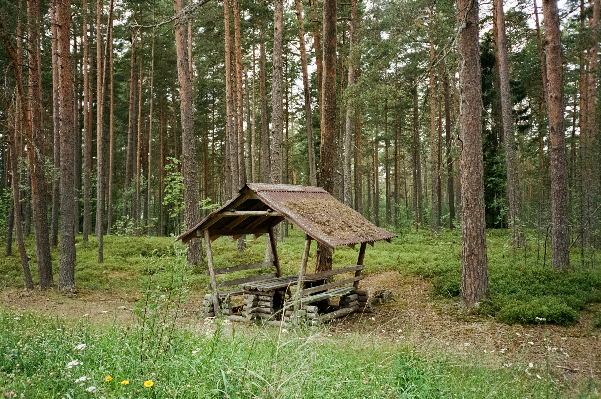 Остров Коневец. Конь-камень, берег Ладоги и Святая гора. Фотограф-документалист Мария Осокина