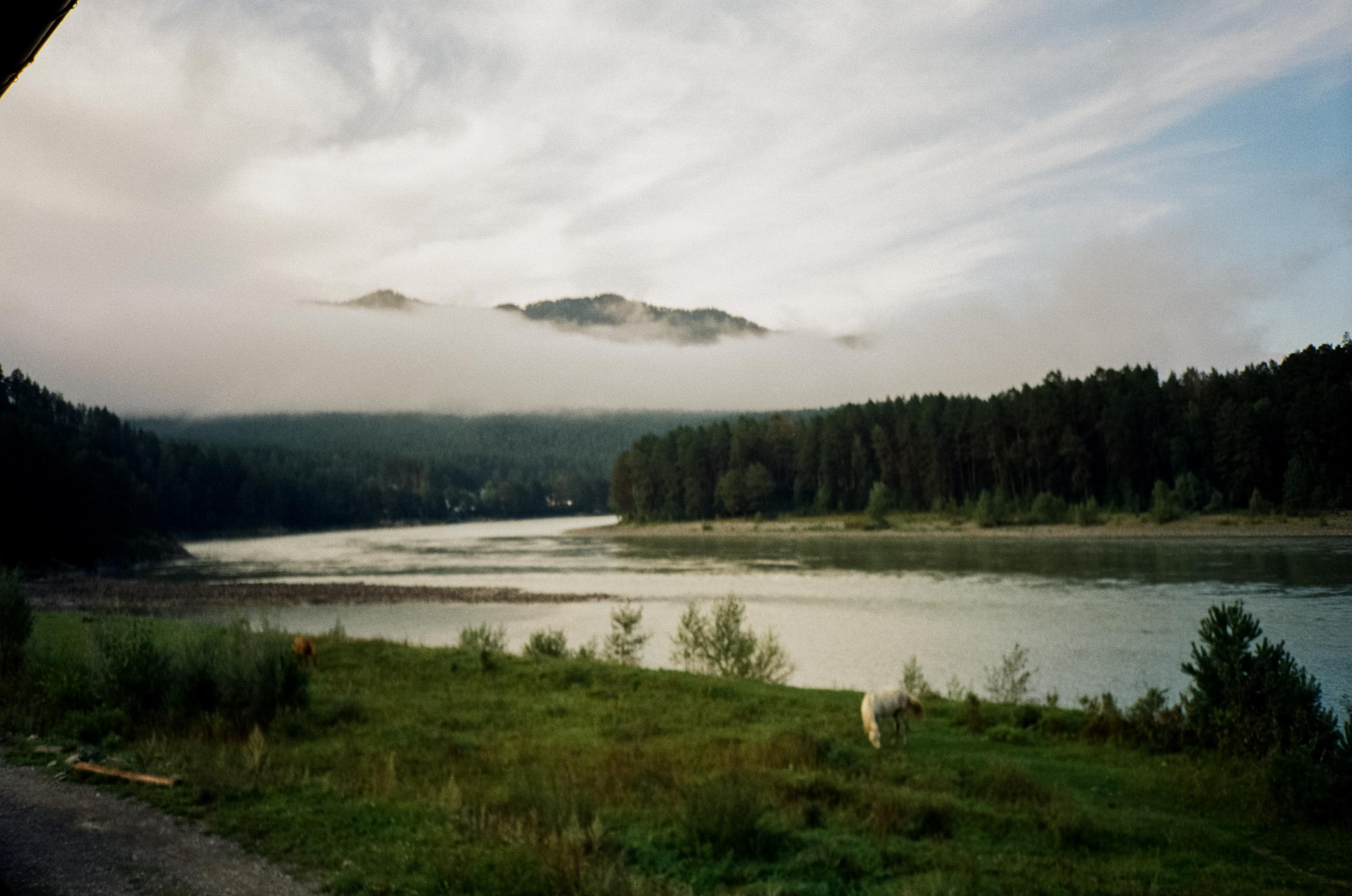 Гора Синюха в тумане и Катунь в жаркий день. У коттеджа Бережок. Фотограф-документалист Мария Осокина