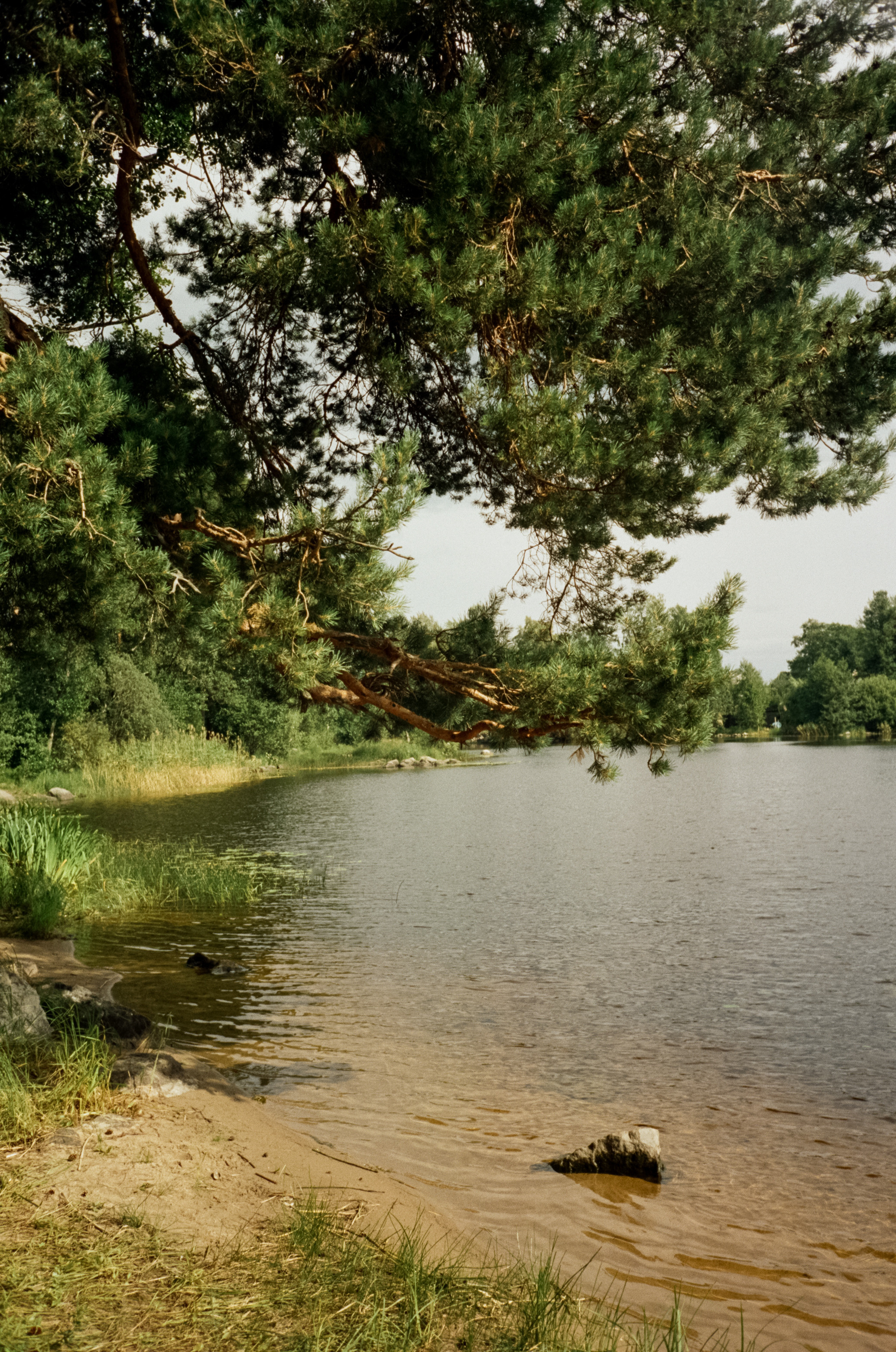 Остров Каменистый на реке Вуокса: экотропа в сосновом лесу, скалы и пл. Фотограф-документалист Мария Осокина