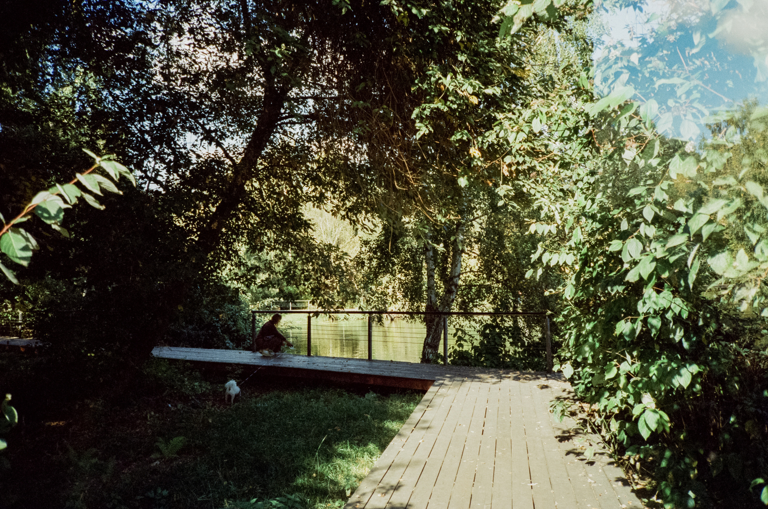 Строгинский залив. Золотая осень. Фотограф-документалист Мария Осокина