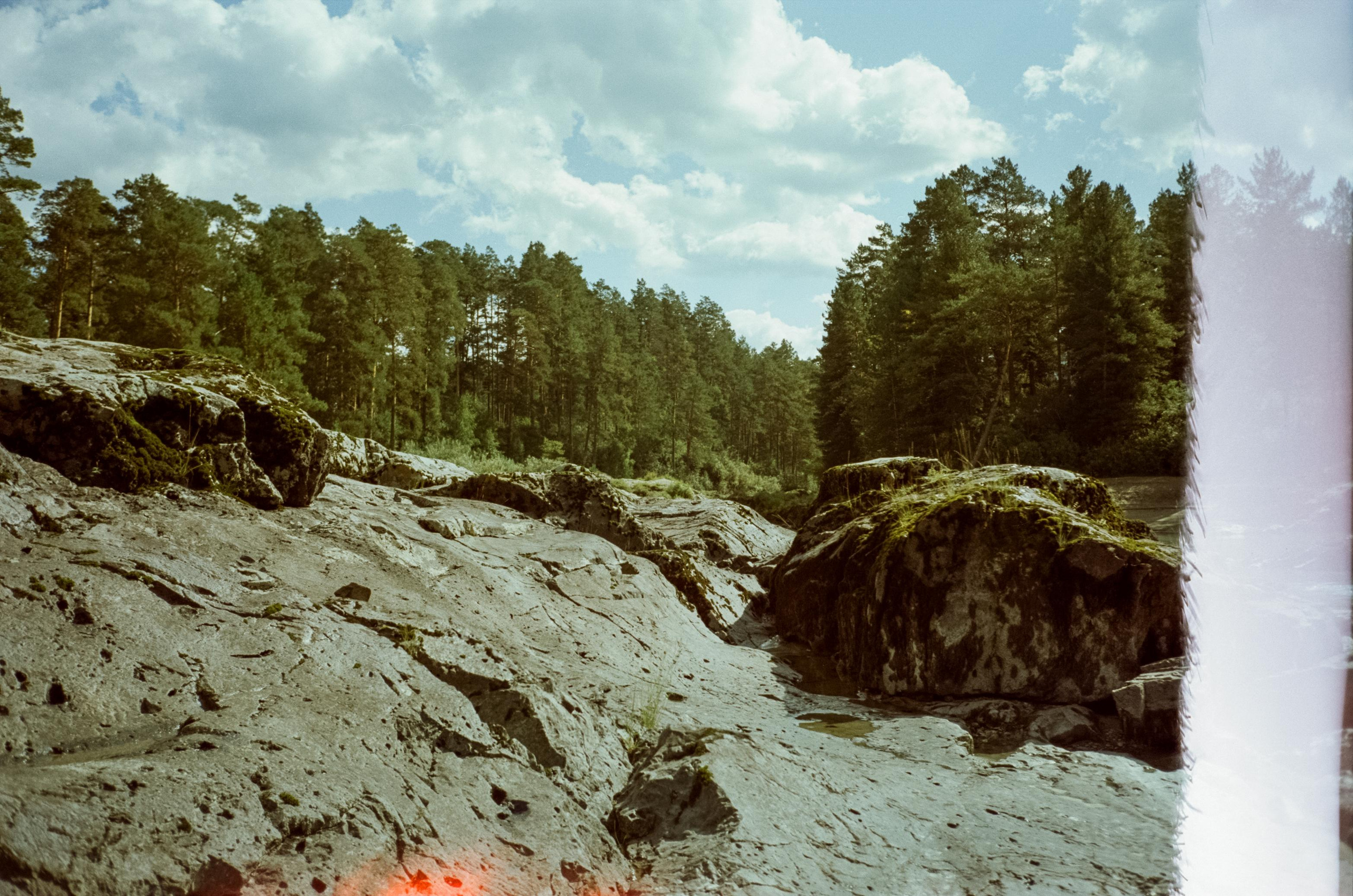 Кедровый остров на Катуни. Фотограф-документалист Мария Осокина