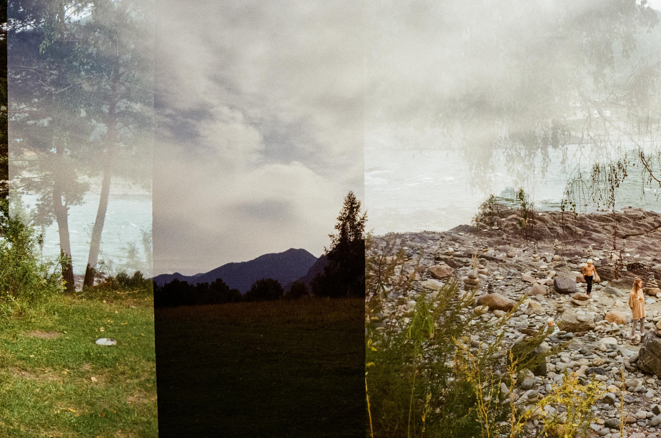 Зубы Дракона. Вид на скалы с левого берега Катуни, коровы и березы. Фотограф-документалист Мария Осокина