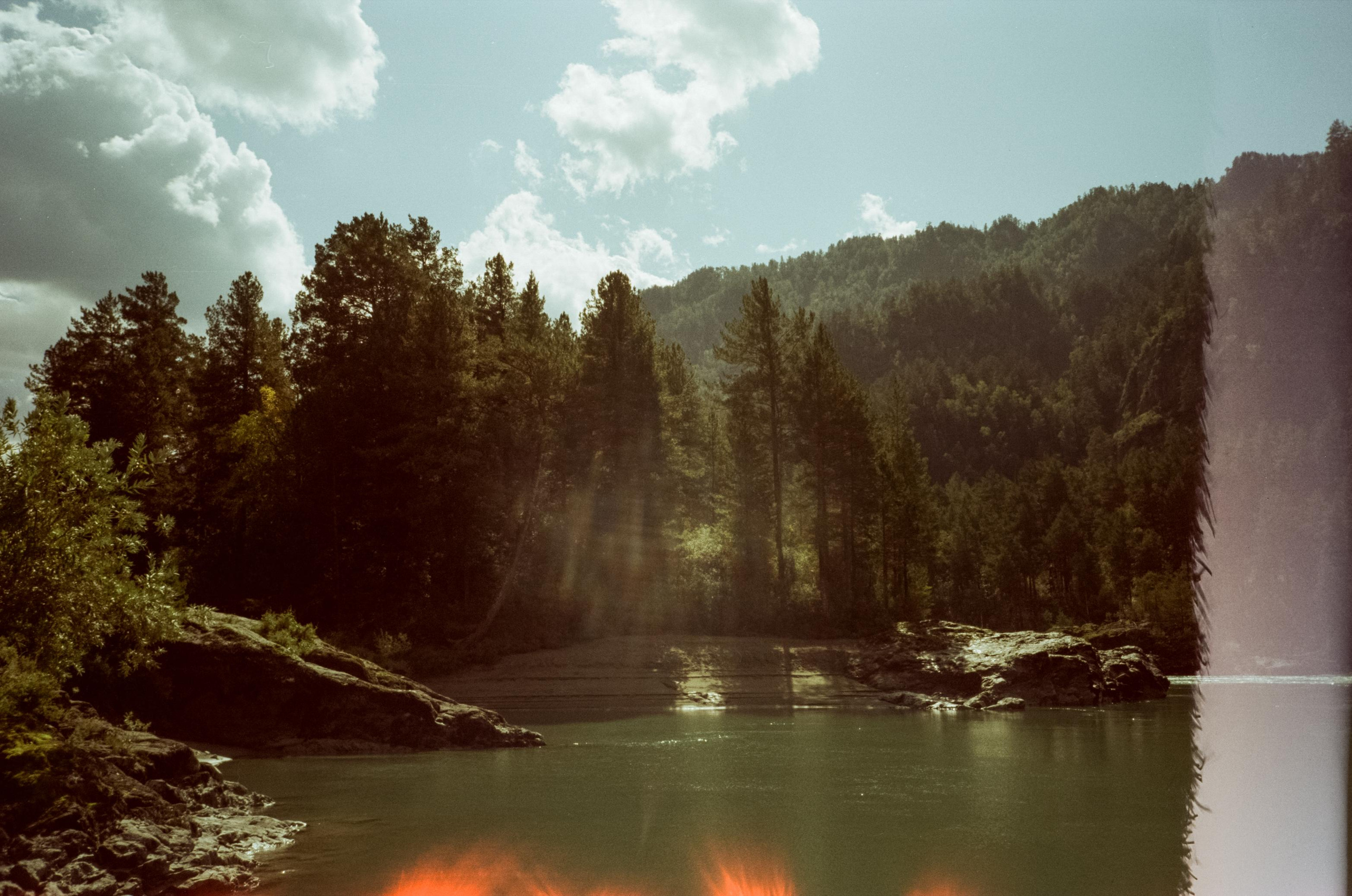 Кедровый остров на Катуни. Фотограф-документалист Мария Осокина