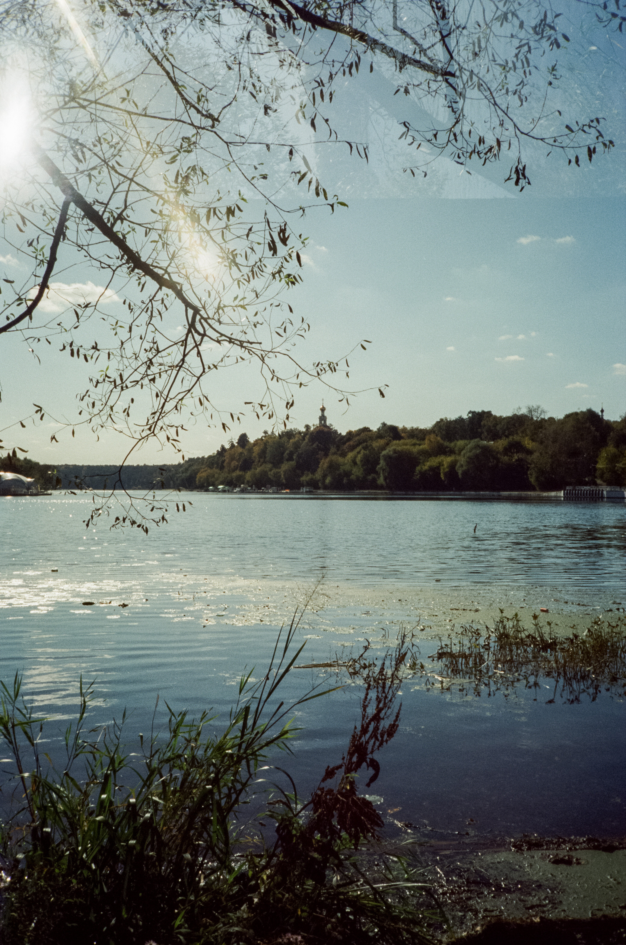 Строгинский залив. Золотая осень. Фотограф-документалист Мария Осокина