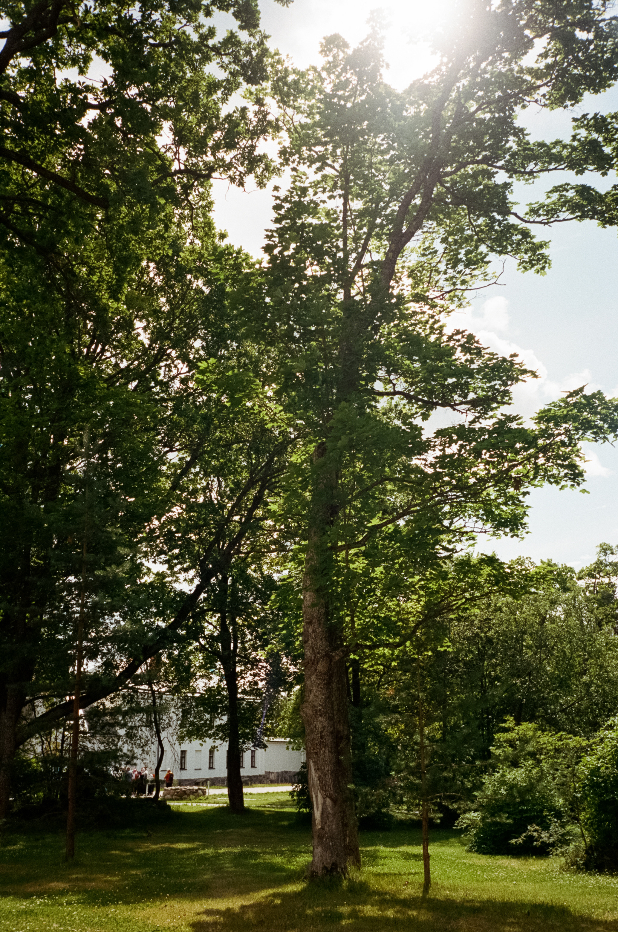 Остров Коневец. Бухта Владимировка, Коневский монастырь и Собор Рожде. Фотограф-документалист Мария Осокина