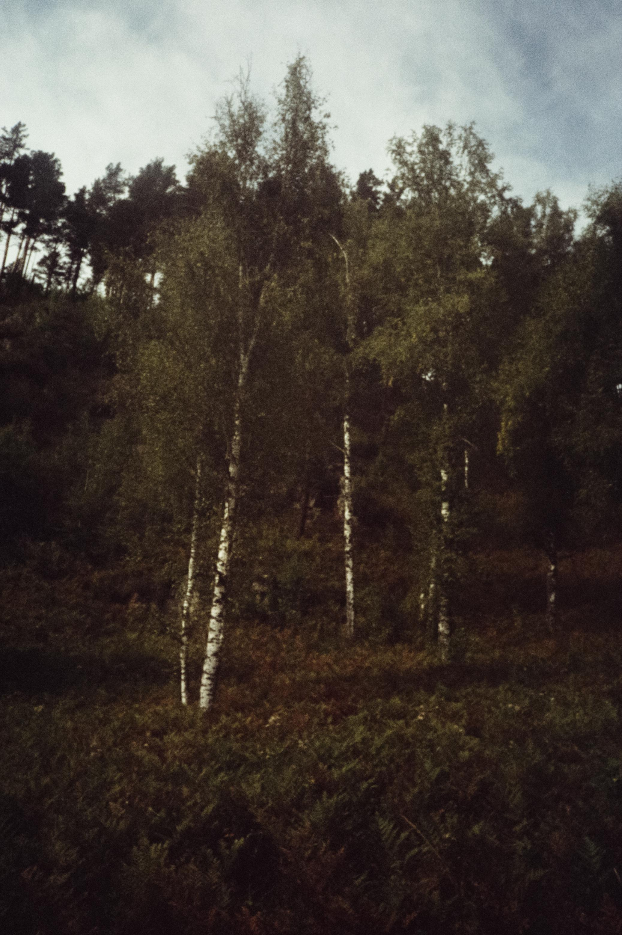 Дорога вдоль горной реки Куюм и база Благодать. Фотограф-документалист Мария Осокина