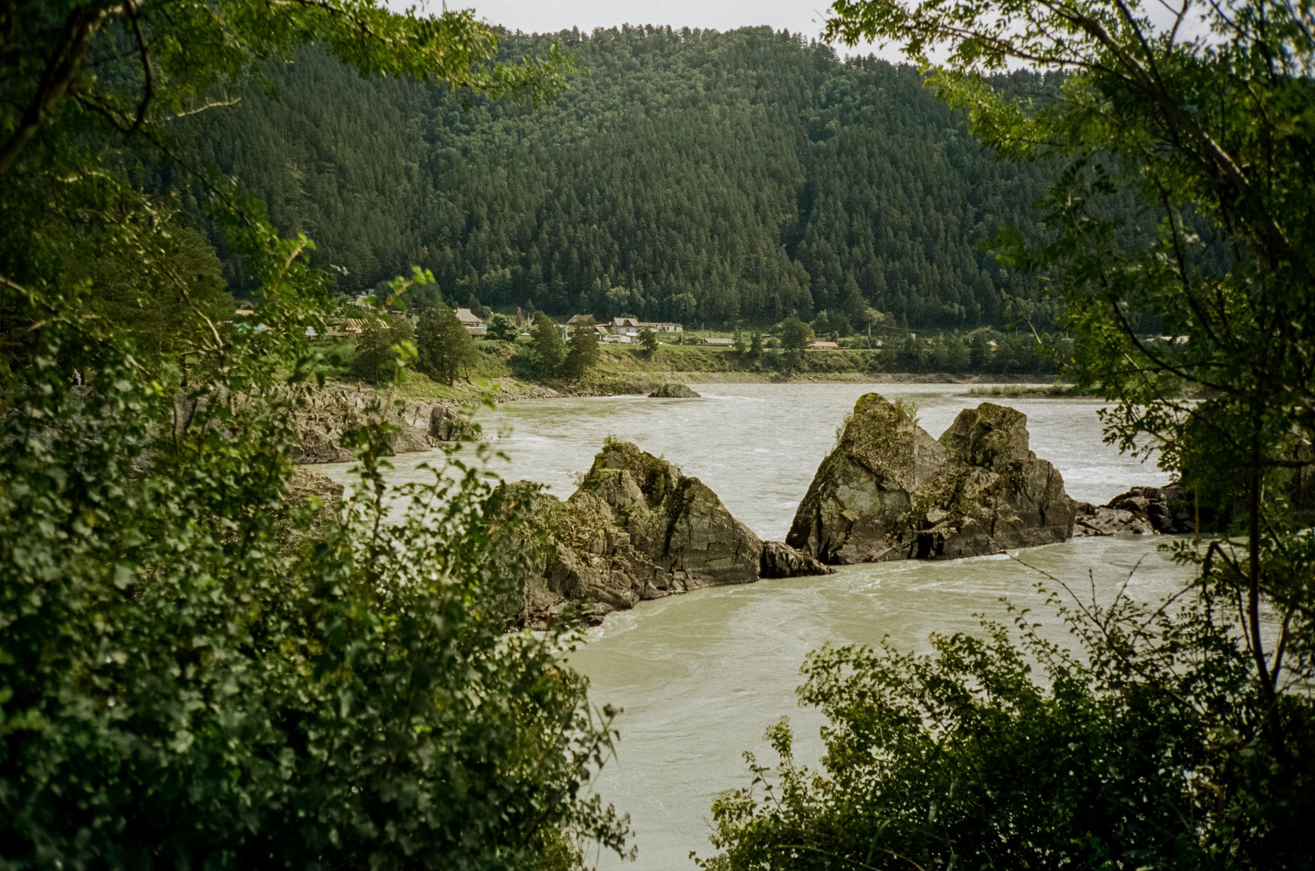Скалы Зубы Дракона: виды с моста через Катунь. Фотограф-документалист Мария Осокина