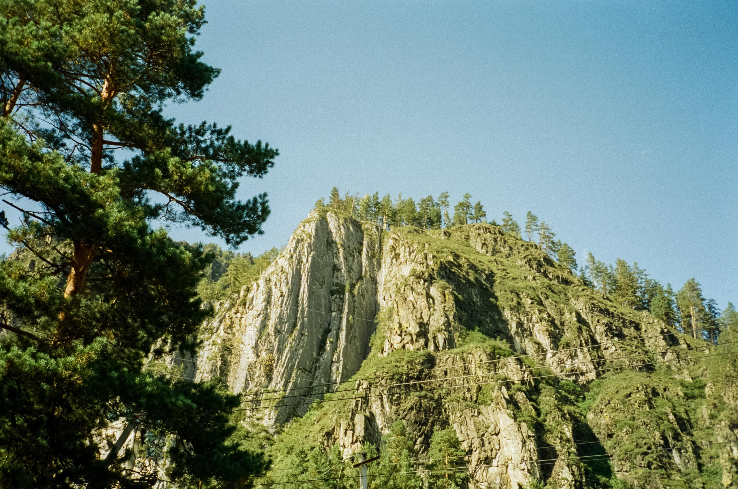 База Altai Star: сосновый лес, теремки и берег Катуни. Фотограф-документалист Мария Осокина