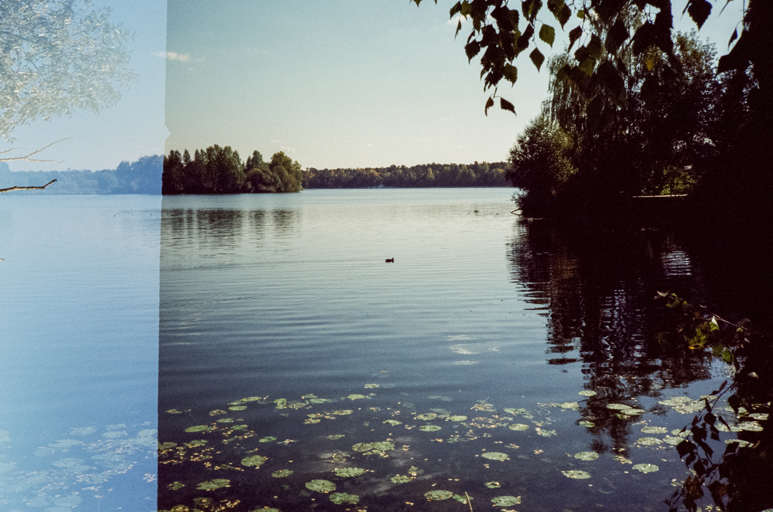 Строгинский залив. Золотая осень. Фотограф-документалист Мария Осокина
