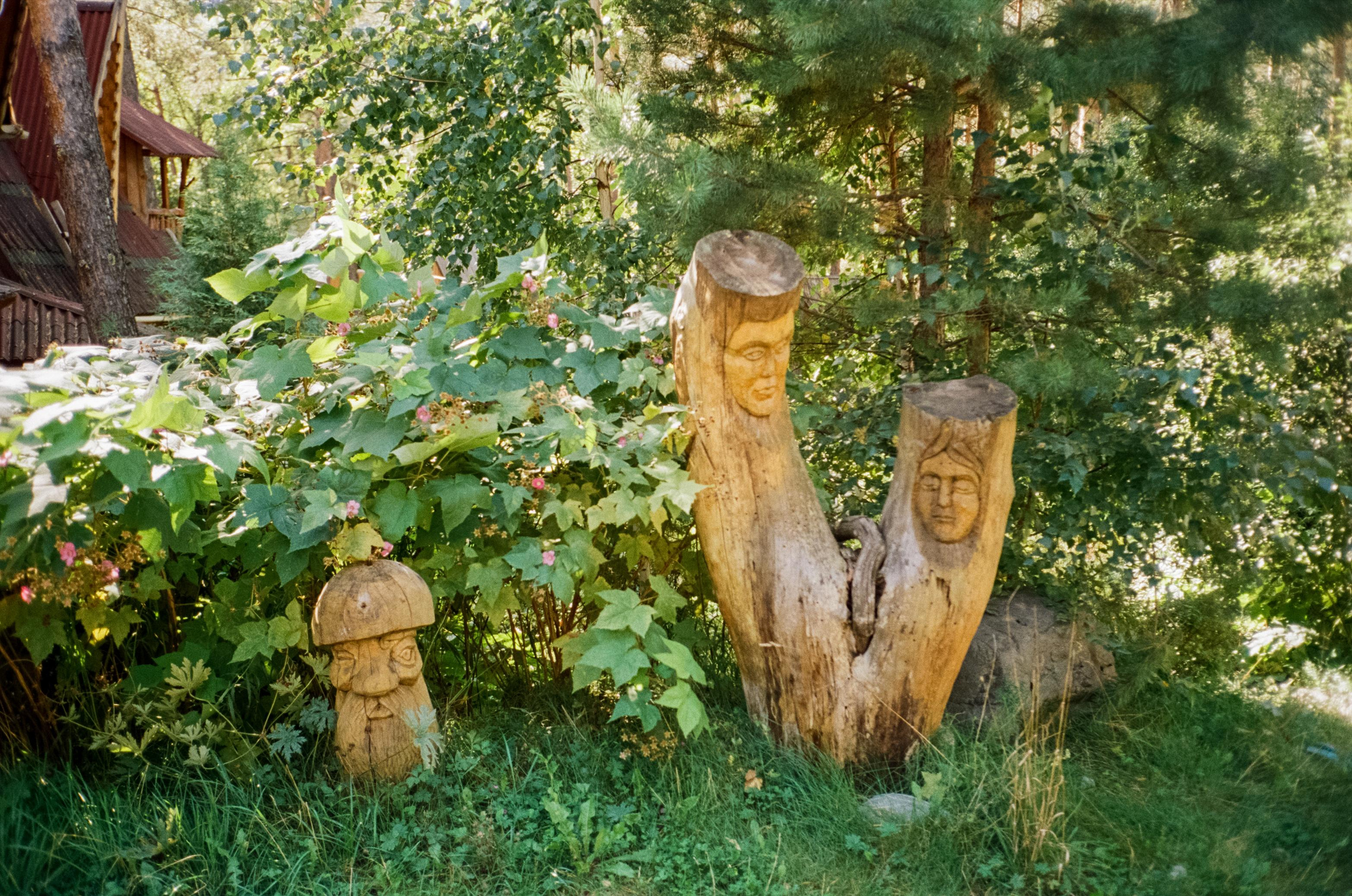 База Altai Star: сосновый лес, теремки и берег Катуни. Фотограф-документалист Мария Осокина