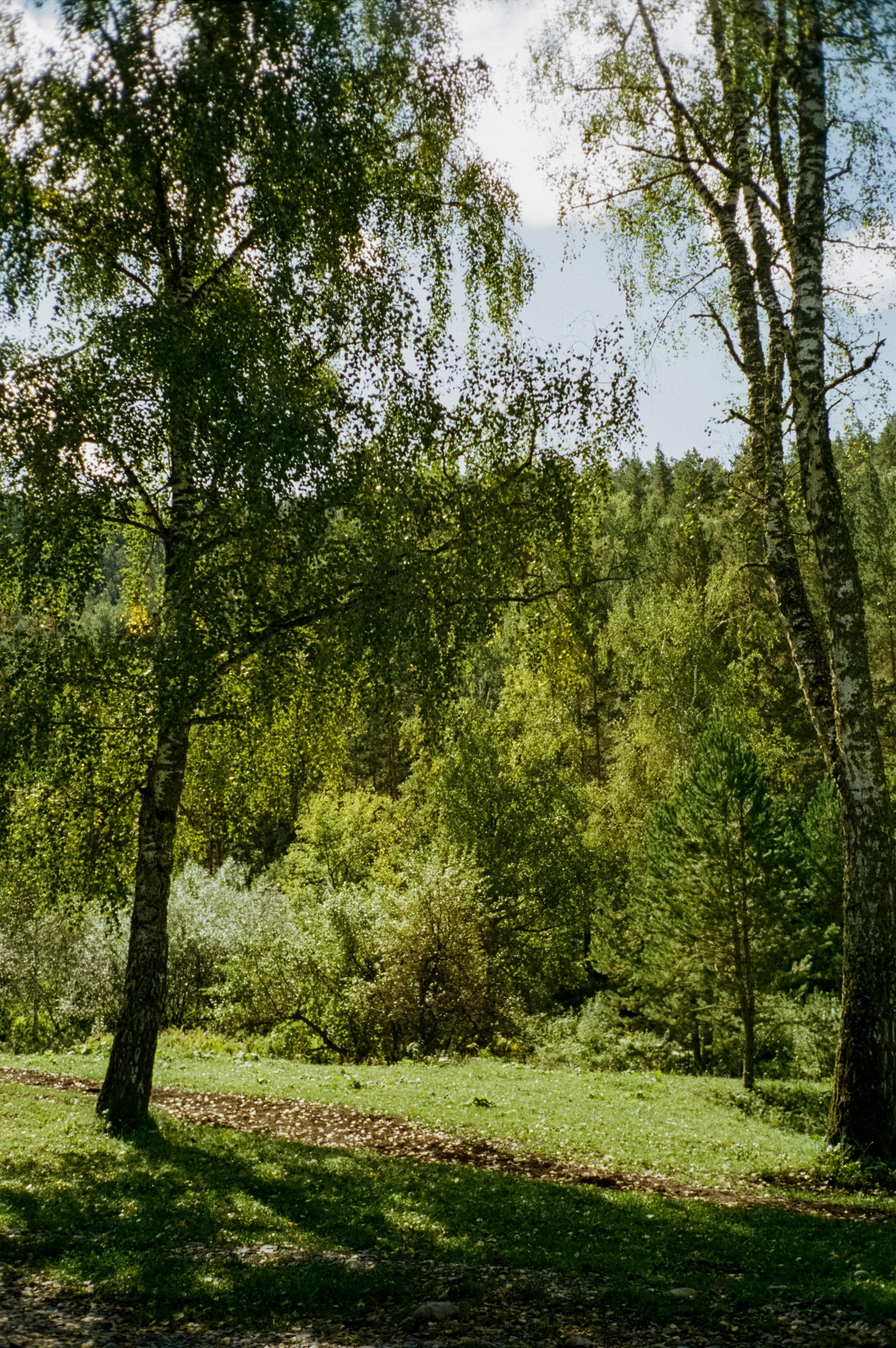 Дорога к селу Элекмонар и часовне на реке Куюм. Фотограф-документалист Мария Осокина