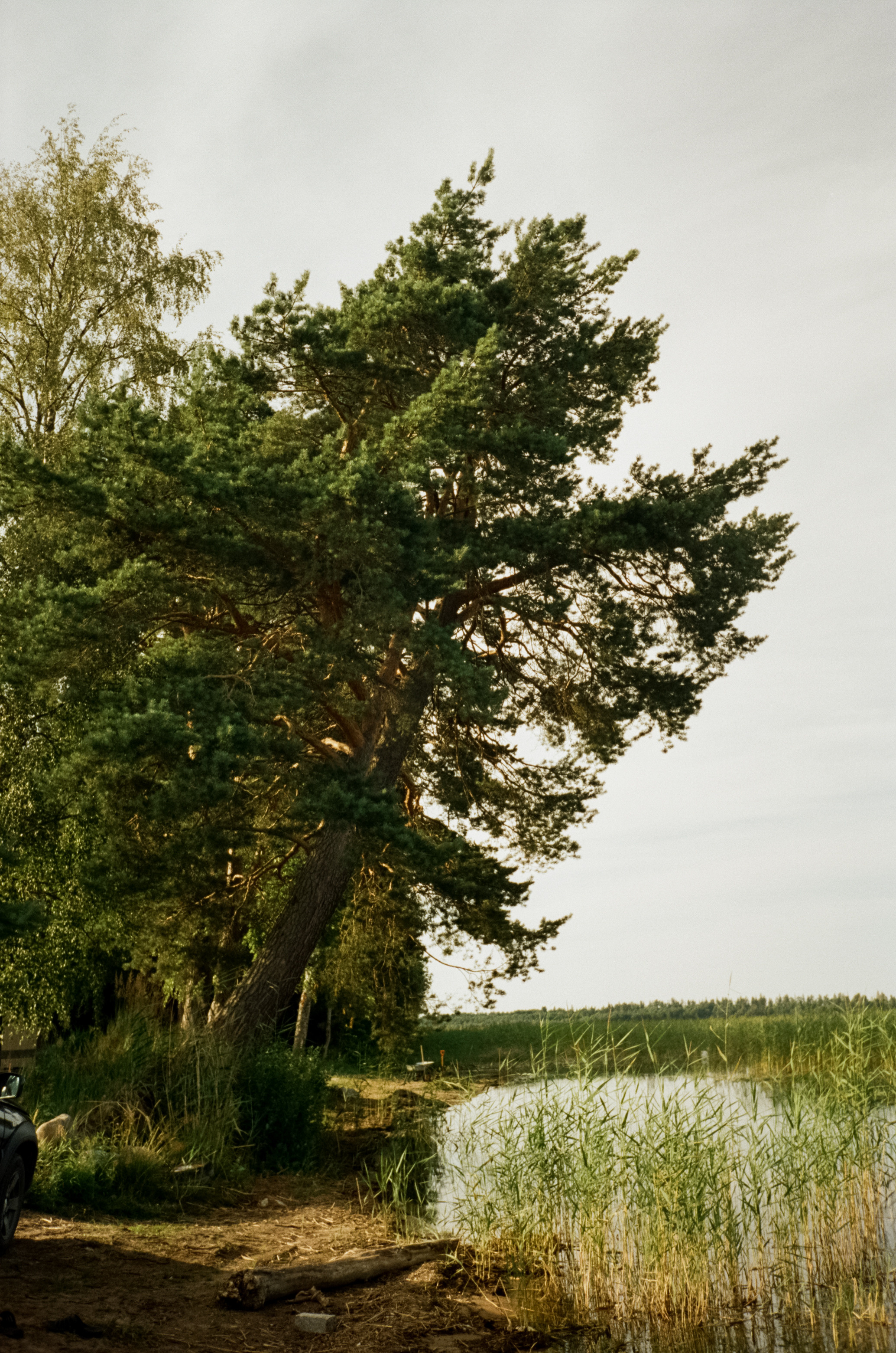 Вечер на озере Отрадное. Фотограф-документалист Мария Осокина