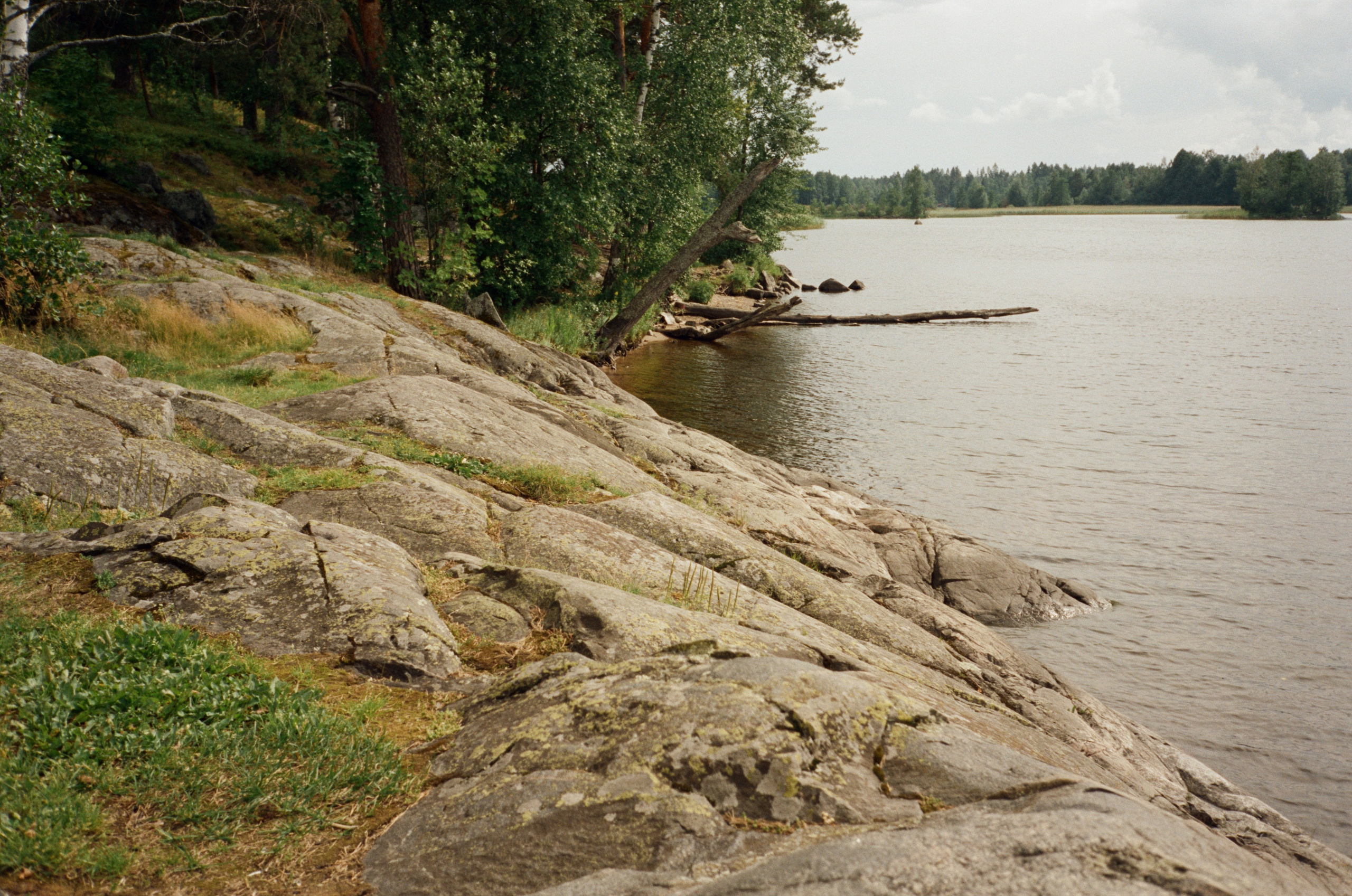Остров Каменистый на реке Вуокса: экотропа в сосновом лесу, скалы и пл. Фотограф-документалист Мария Осокина