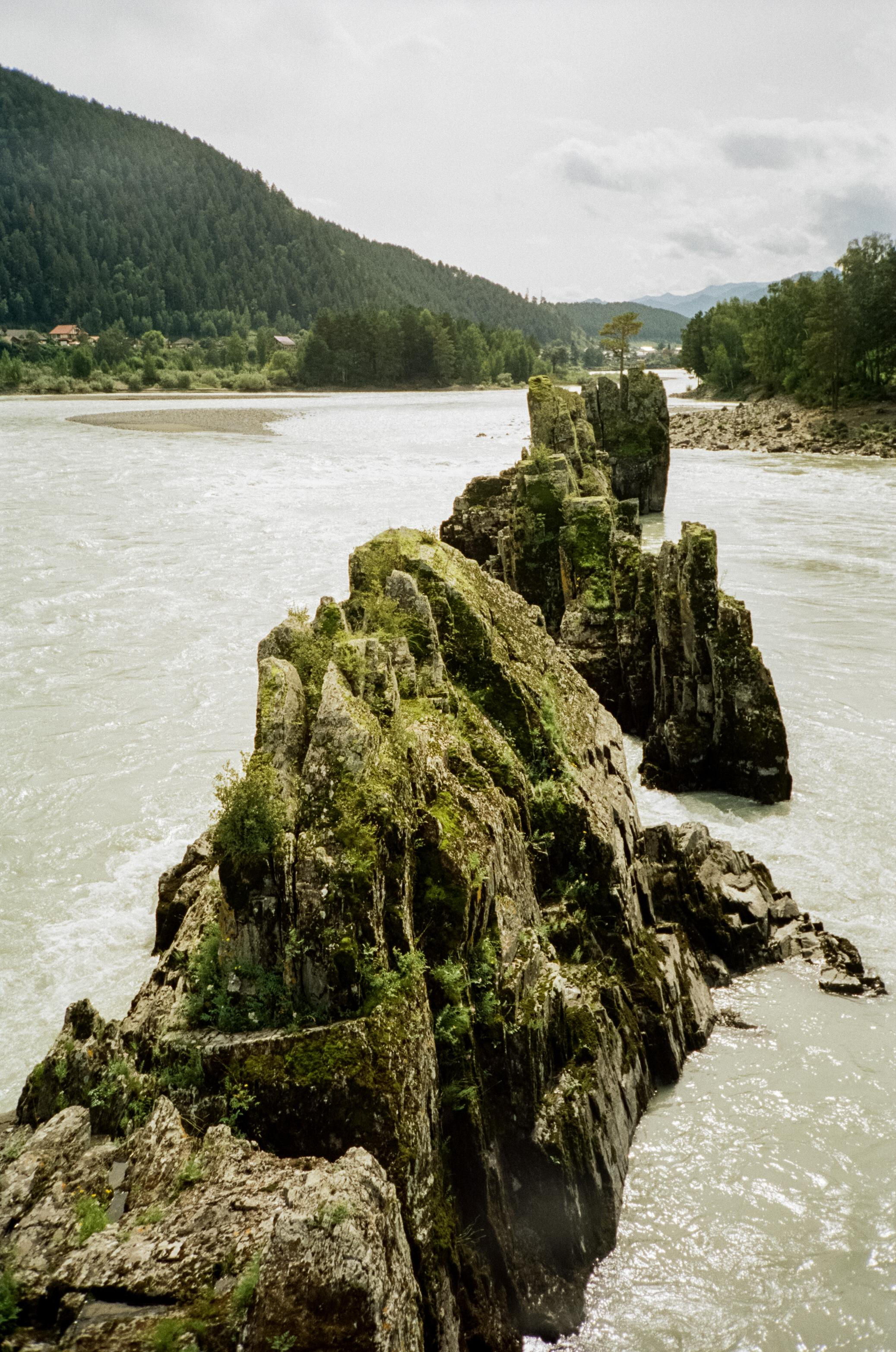 Скалы Зубы Дракона: виды с моста через Катунь. Фотограф-документалист Мария Осокина