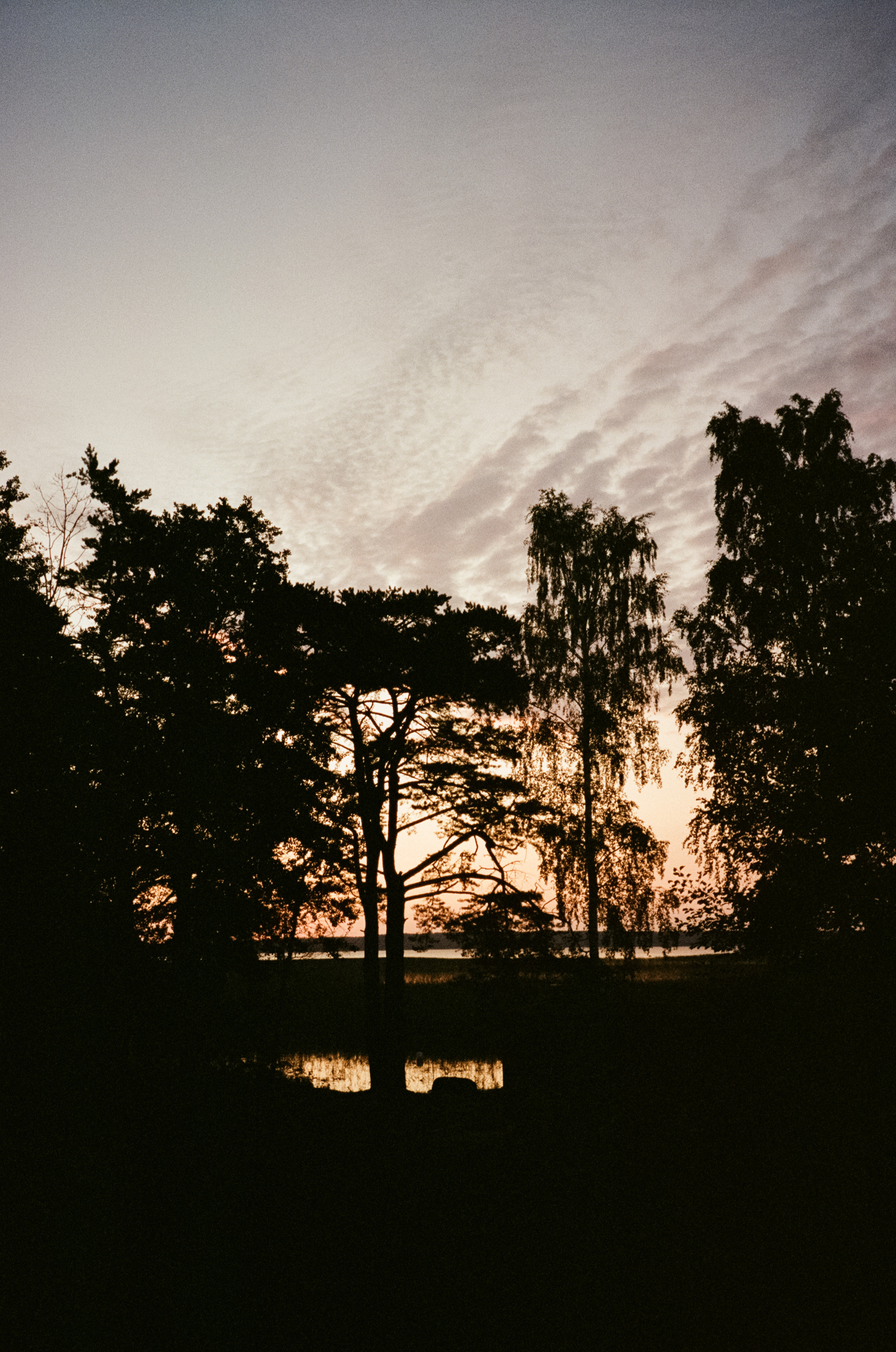 Рассветы и закаты на озере Отрадное. Фотограф-документалист Мария Осокина