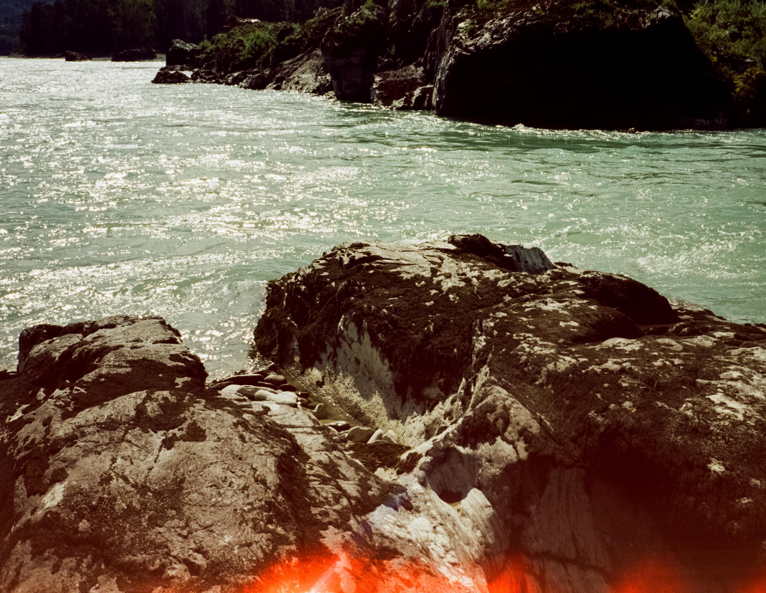 Катунь, острова и сосны в солнечный день. Фотограф-документалист Мария Осокина