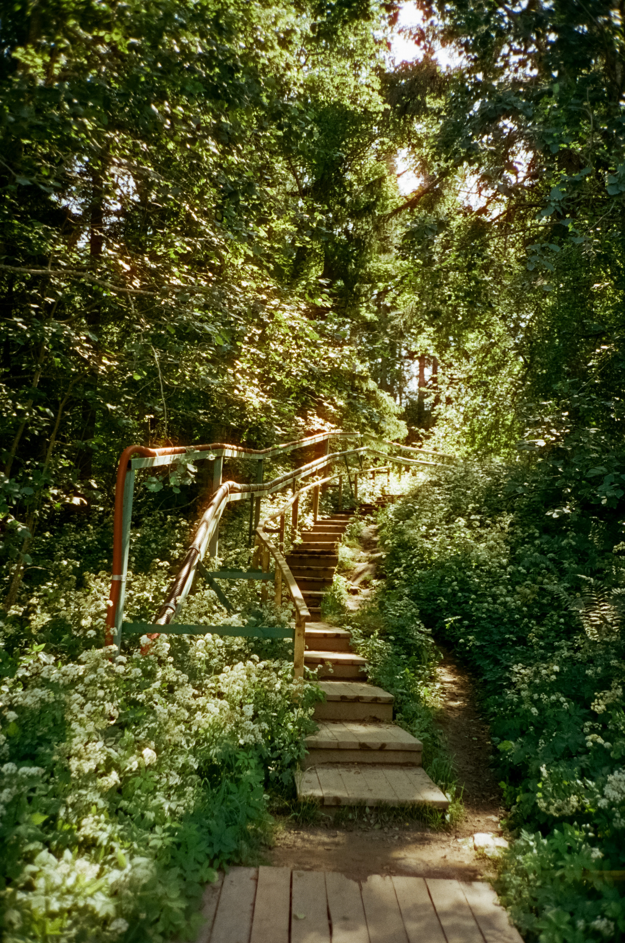 Остров Валаам. Никольский Скит и Монастырский залив. Фотограф-документалист Мария Осокина