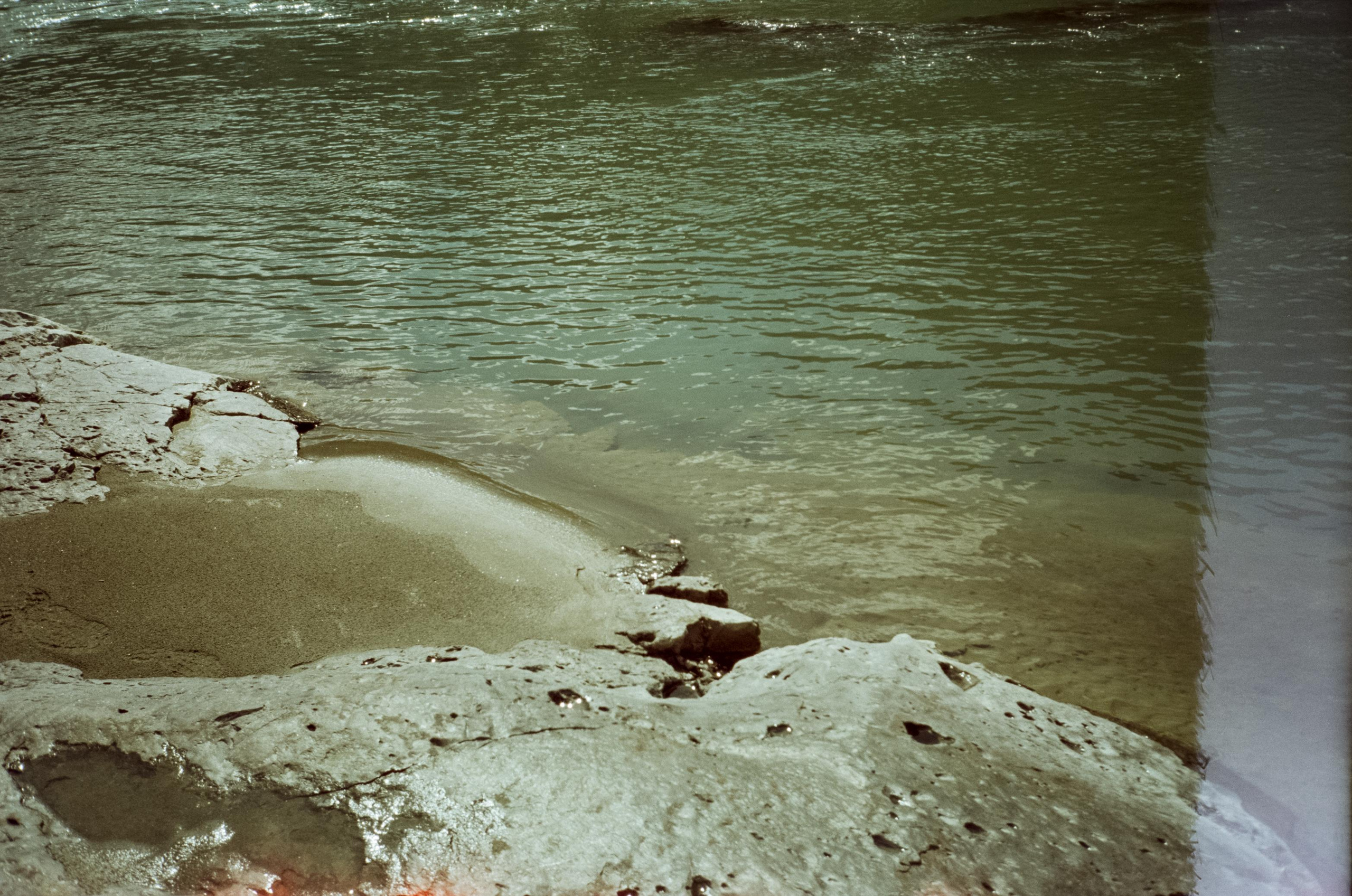 Кедровый остров на Катуни. Фотограф-документалист Мария Осокина