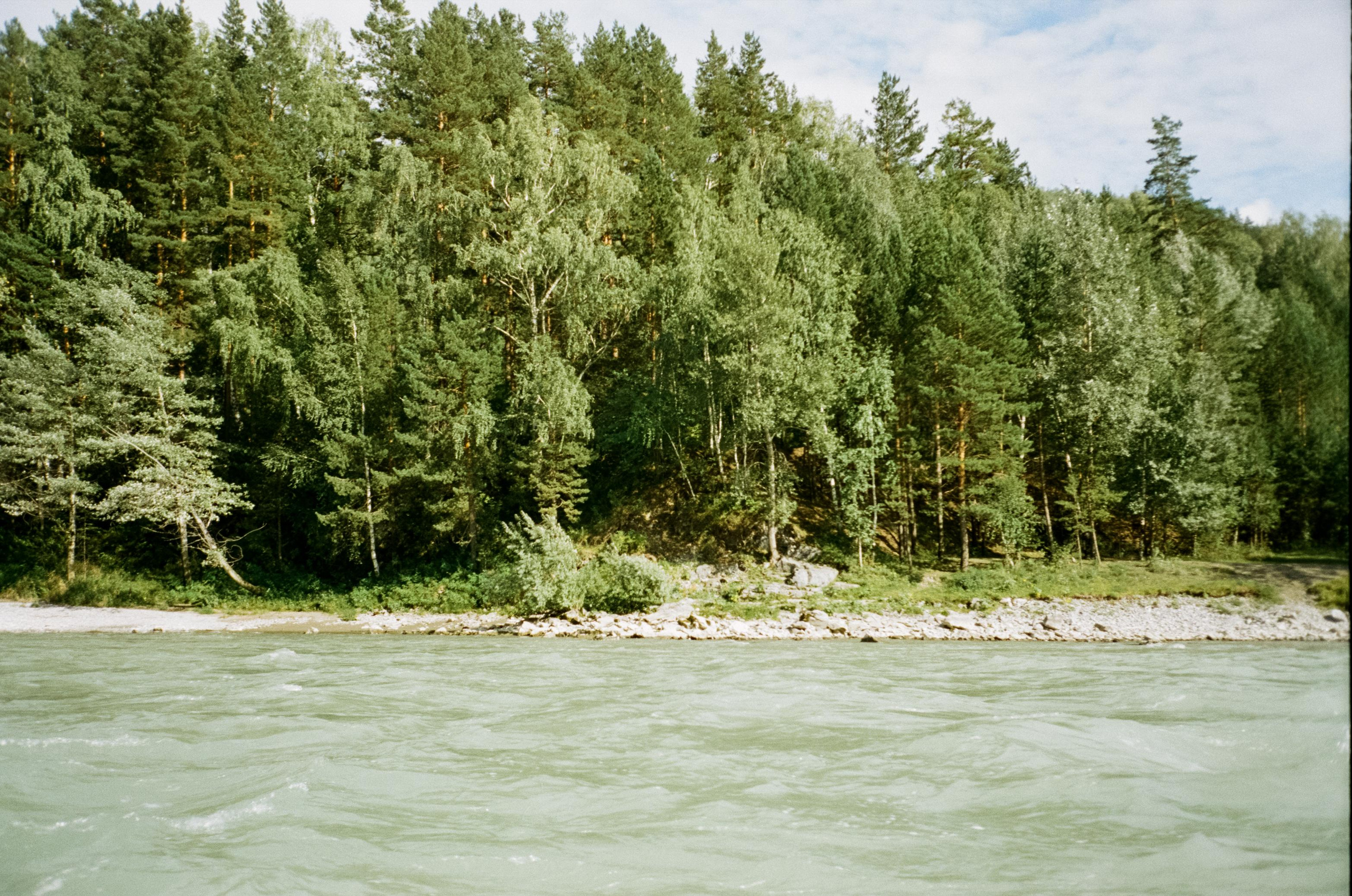 Моторафтинг по Катуни и лошадки у Бережка. Фотограф-документалист Мария Осокина