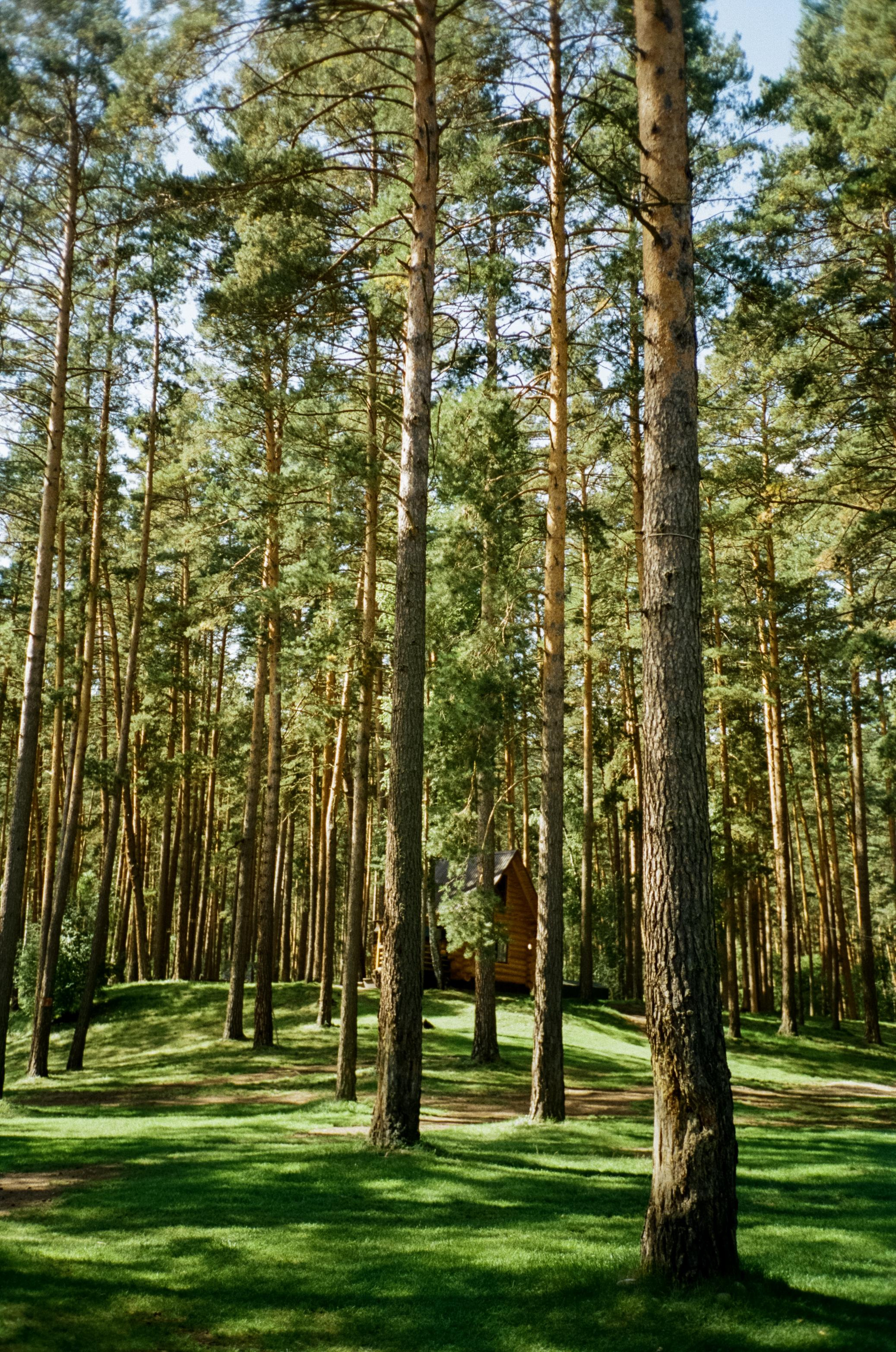 Озеро Ая на закате и Камышлинский водопад. Фотограф-документалист Мария Осокина