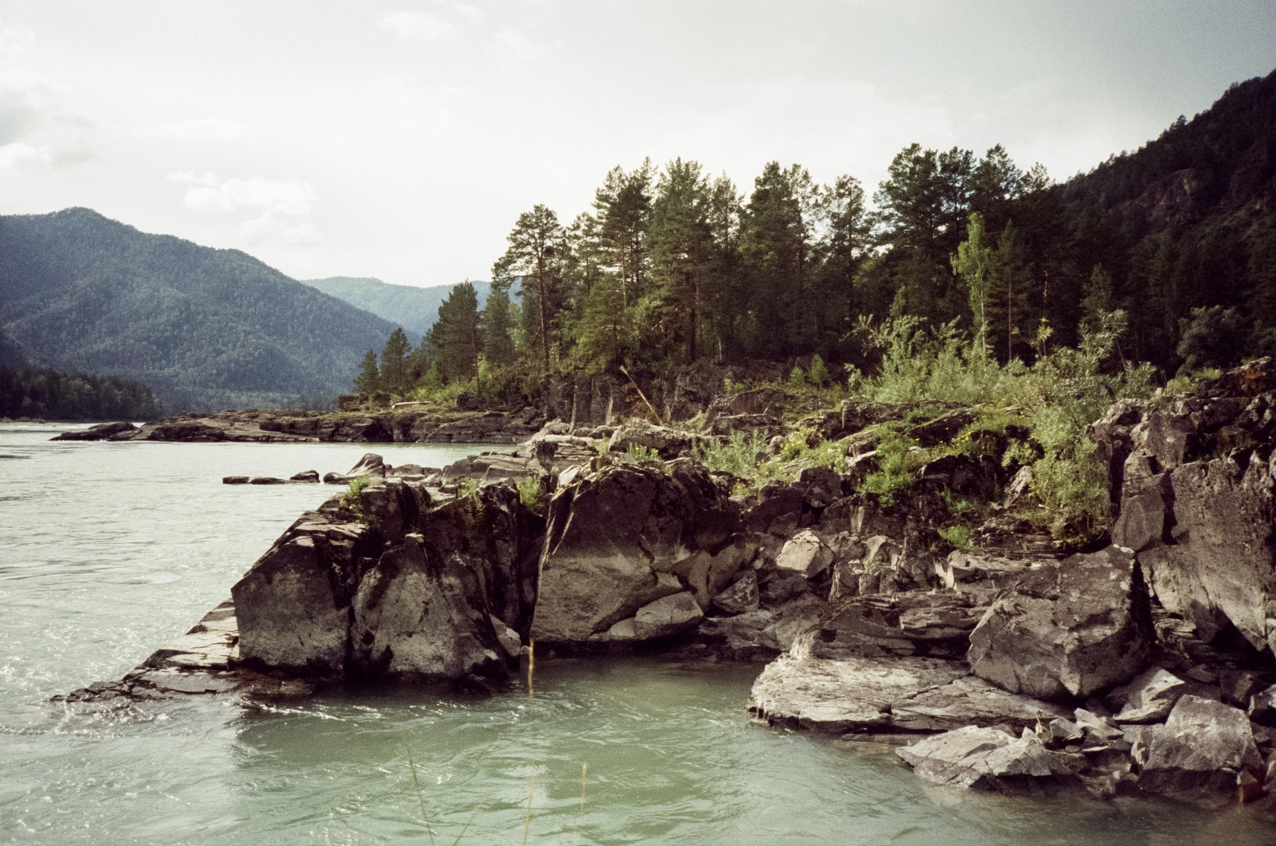 Coffee bus на Чемальском тракте и база Голубые озера. Фотограф-документалист Мария Осокина