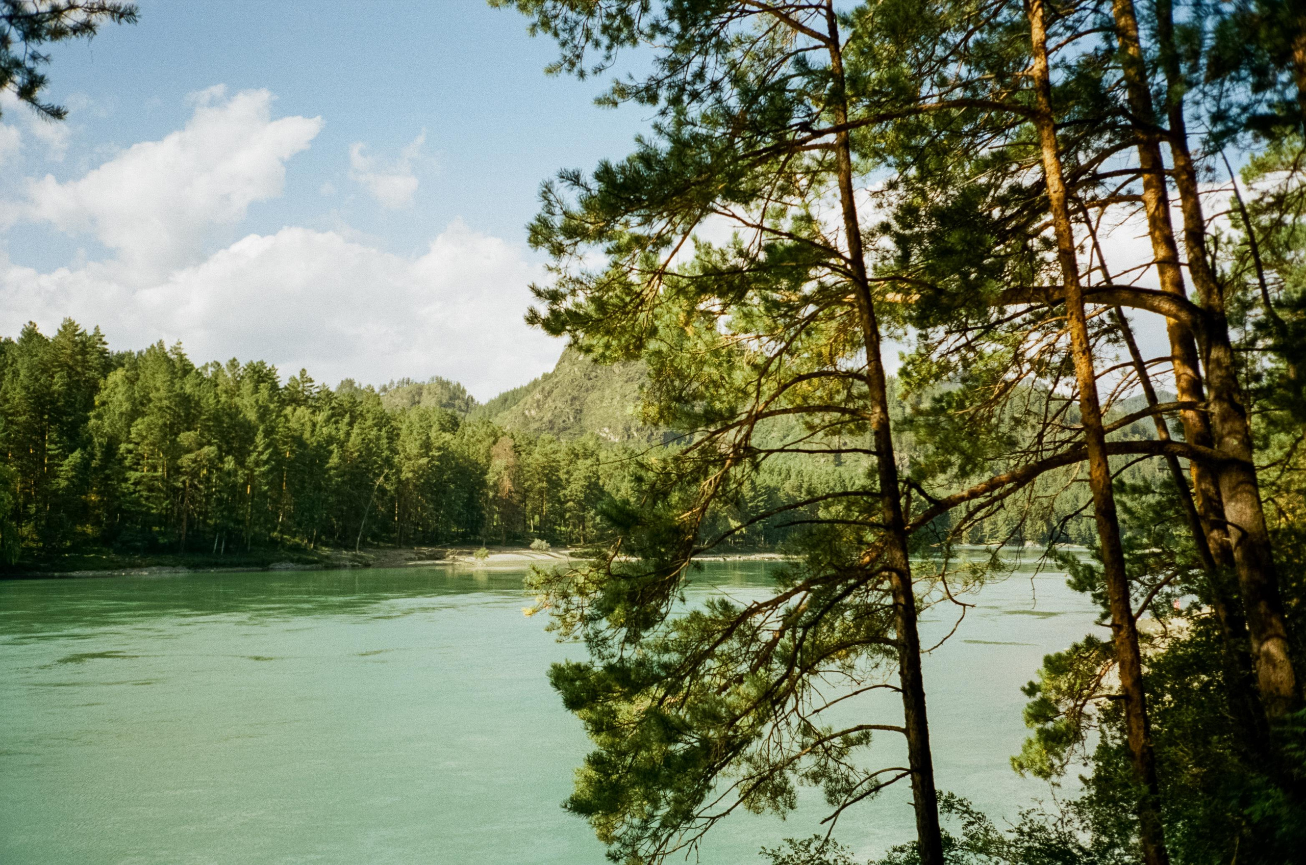 База Altai Star: сосновый лес, теремки и берег Катуни. Фотограф-документалист Мария Осокина