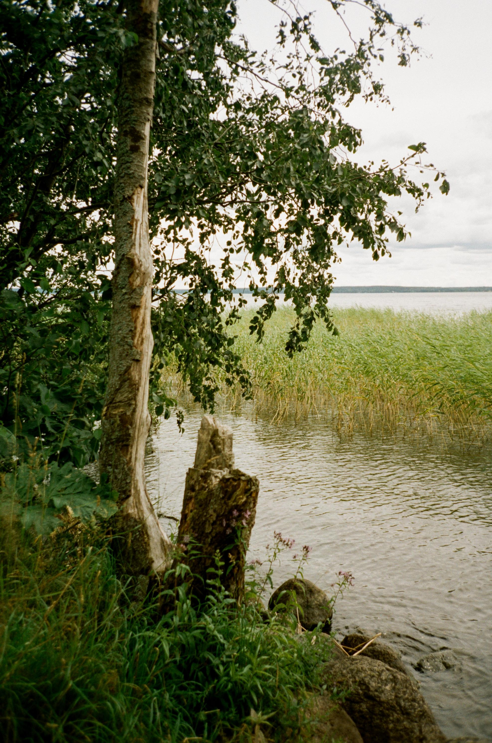 Крепость Корела, пляж в Плодовом и новый SUP. Фотограф-документалист Мария Осокина