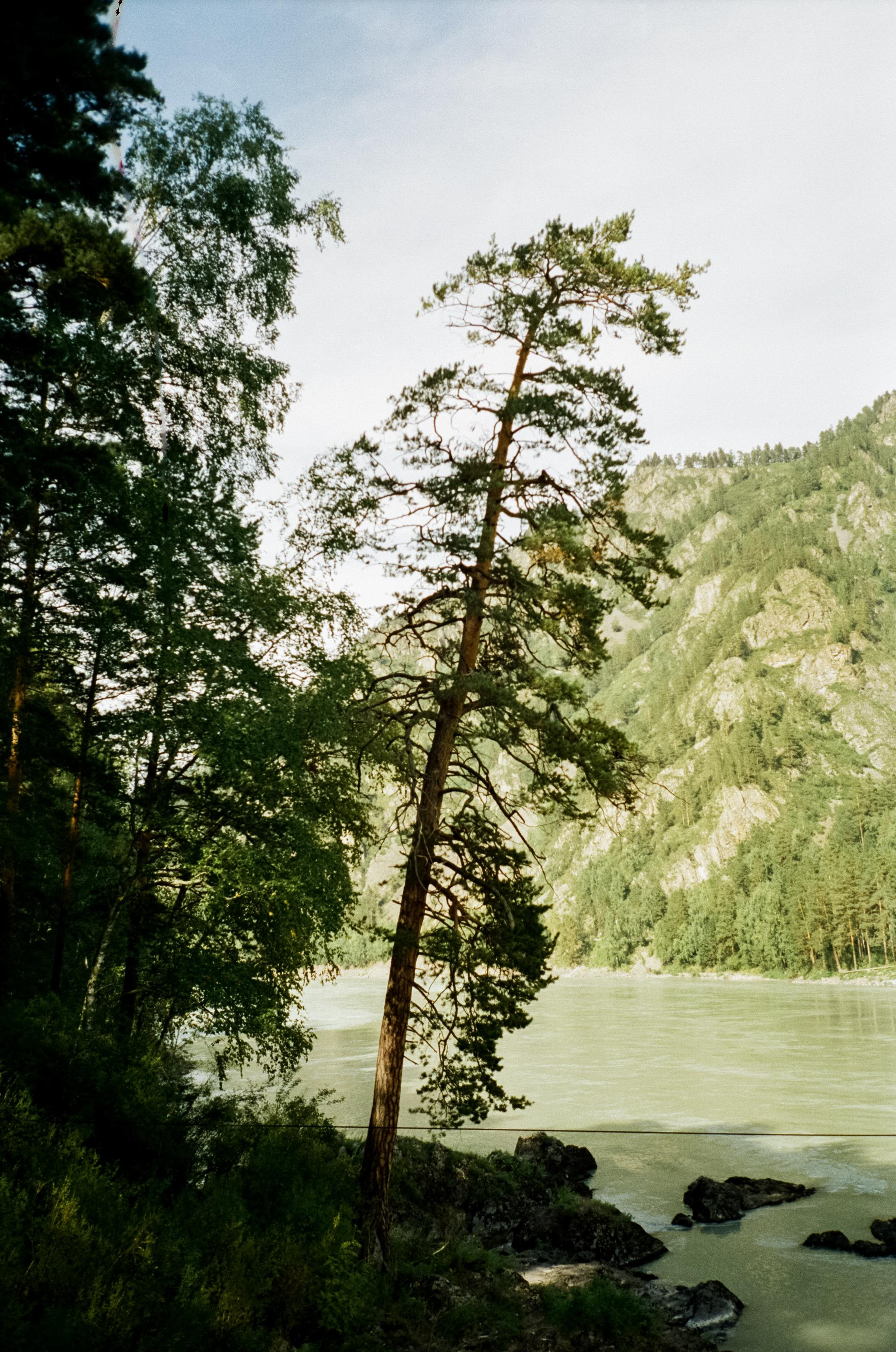 Мосты к Камышлинскому водопаду и Зубам Дракона. Фотограф-документалист Мария Осокина