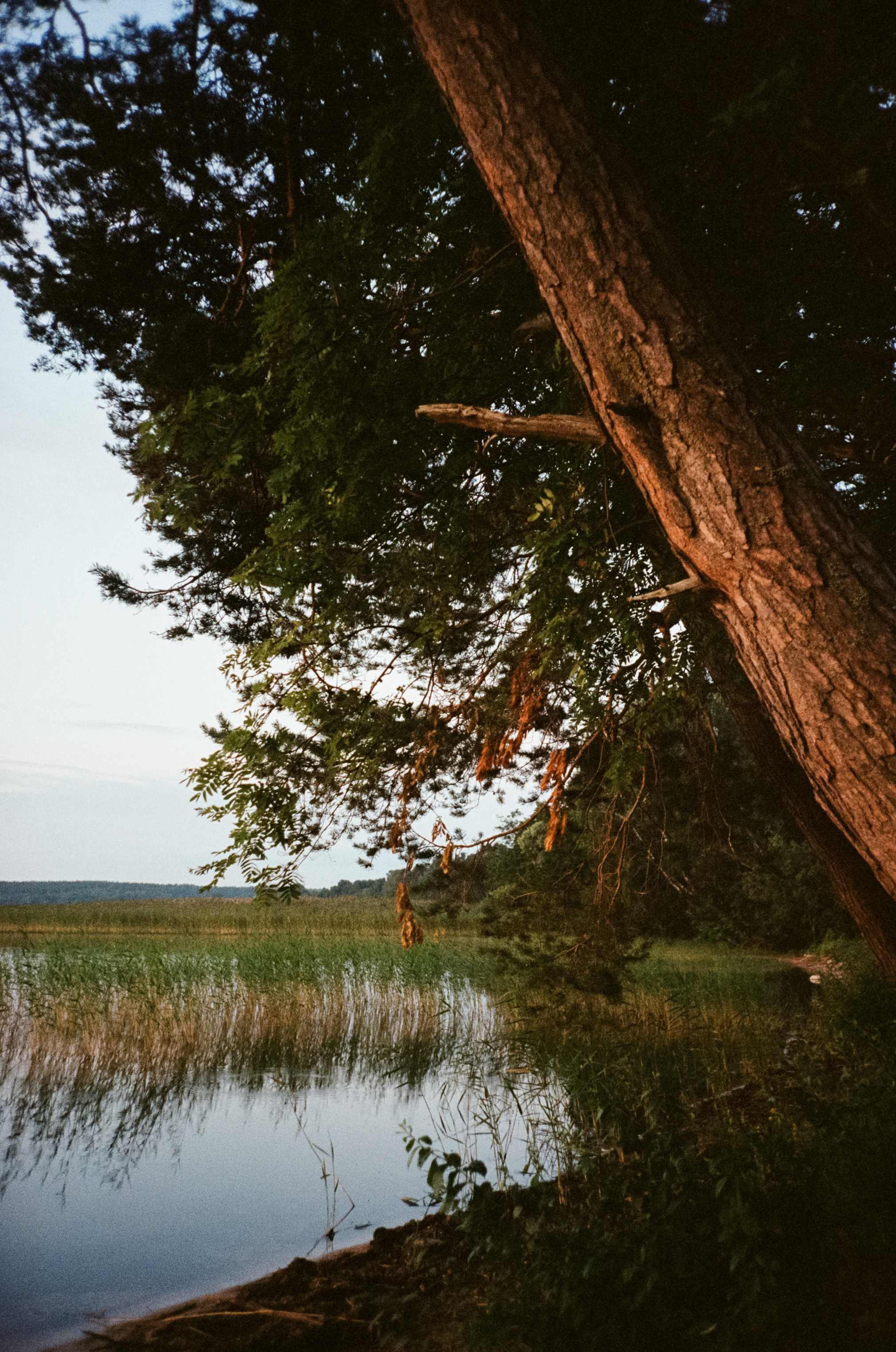 Рассветы и закаты на озере Отрадное. Фотограф-документалист Мария Осокина