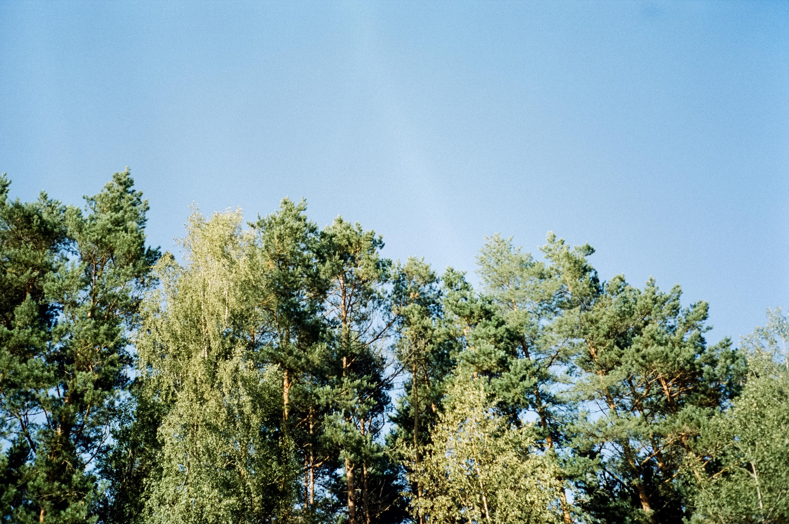 Дача. Лето. Август. Фотограф-документалист Мария Осокина