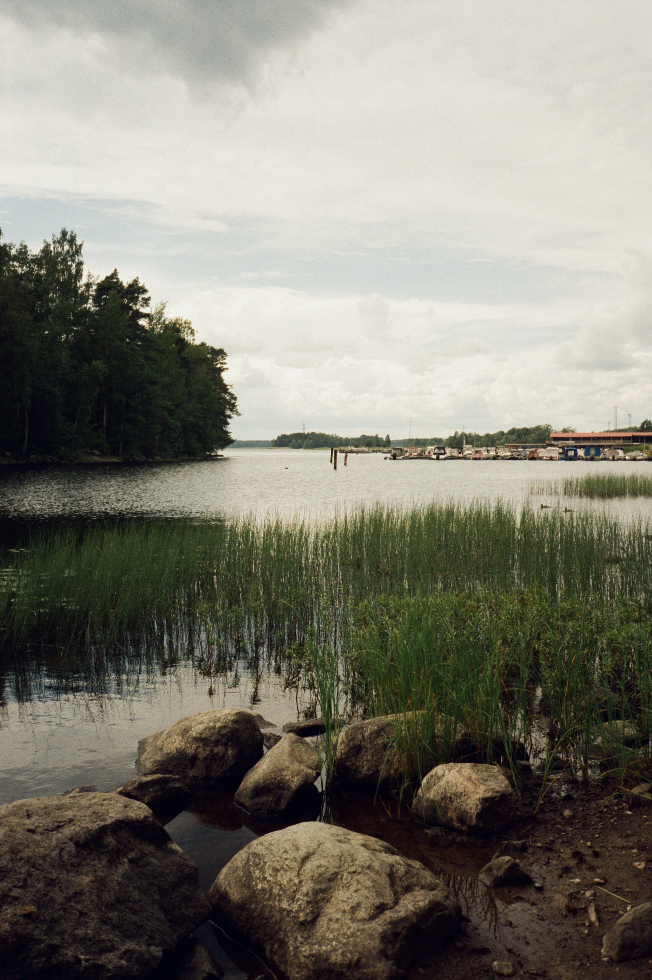 Остров Каменистый на реке Вуокса: экотропа в сосновом лесу, скалы и пл. Фотограф-документалист Мария Осокина