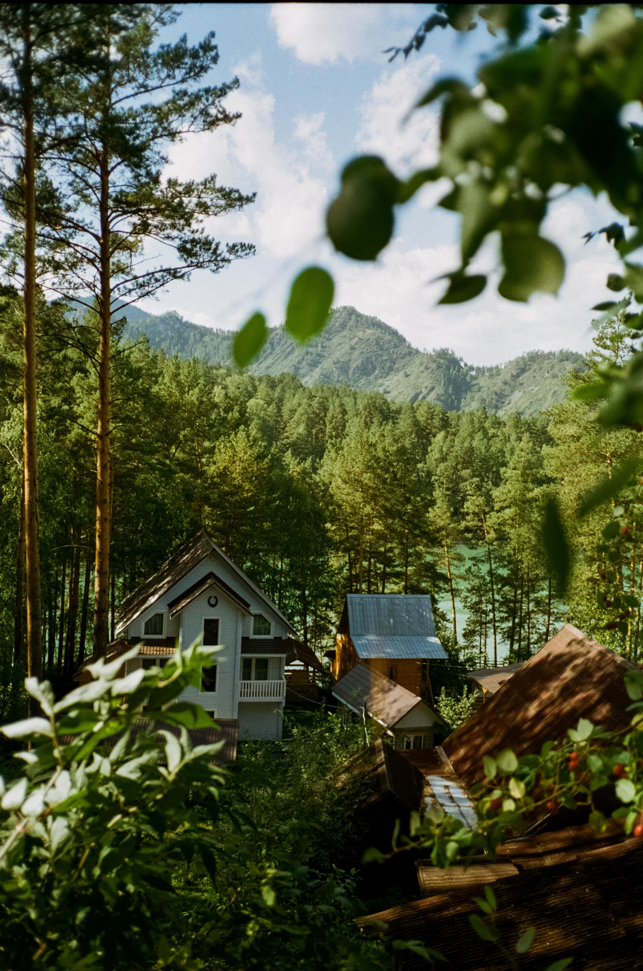 База Altai Star: сосновый лес, теремки и берег Катуни. Фотограф-документалист Мария Осокина