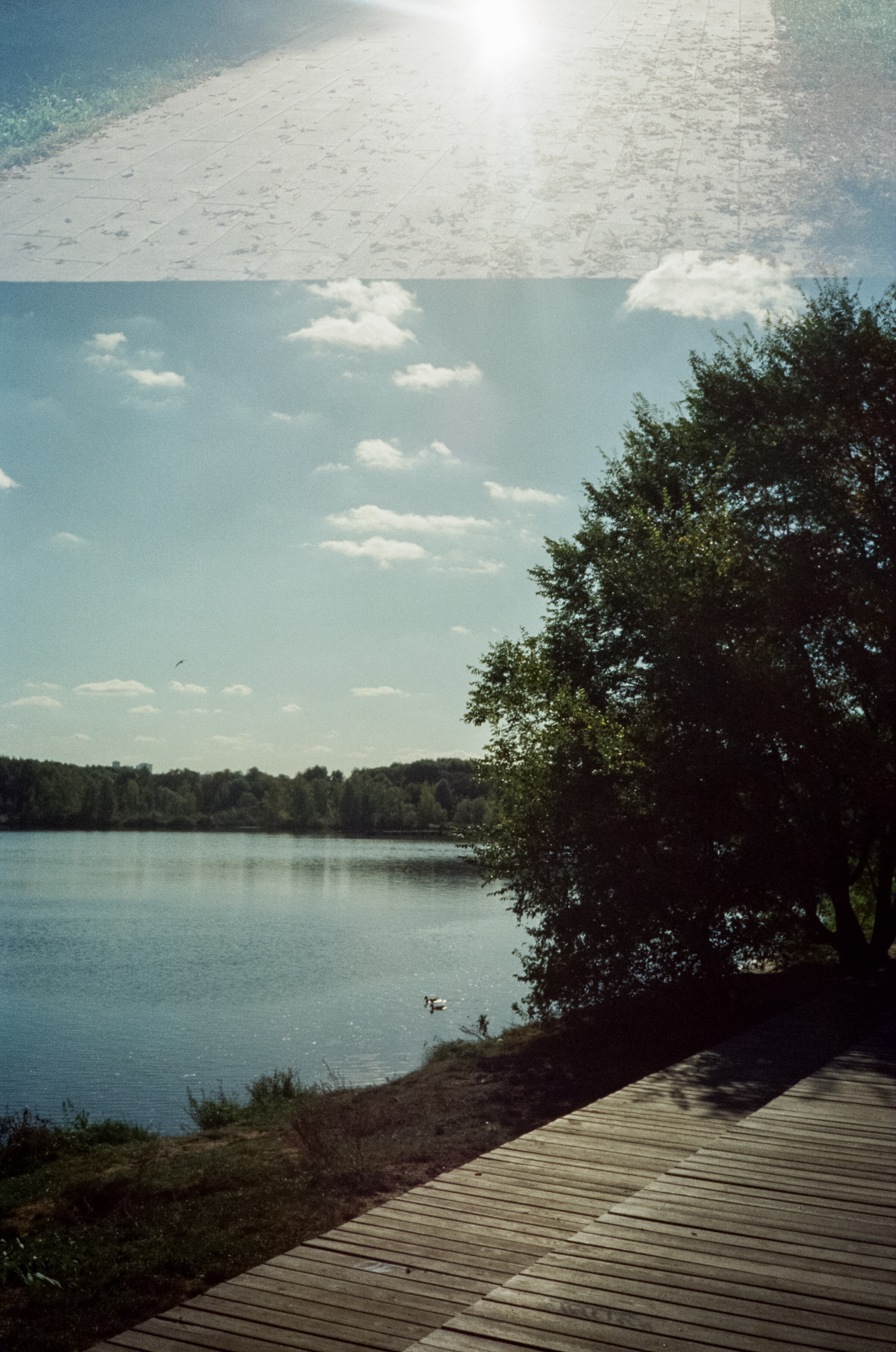 Строгинский залив. Золотая осень. Фотограф-документалист Мария Осокина