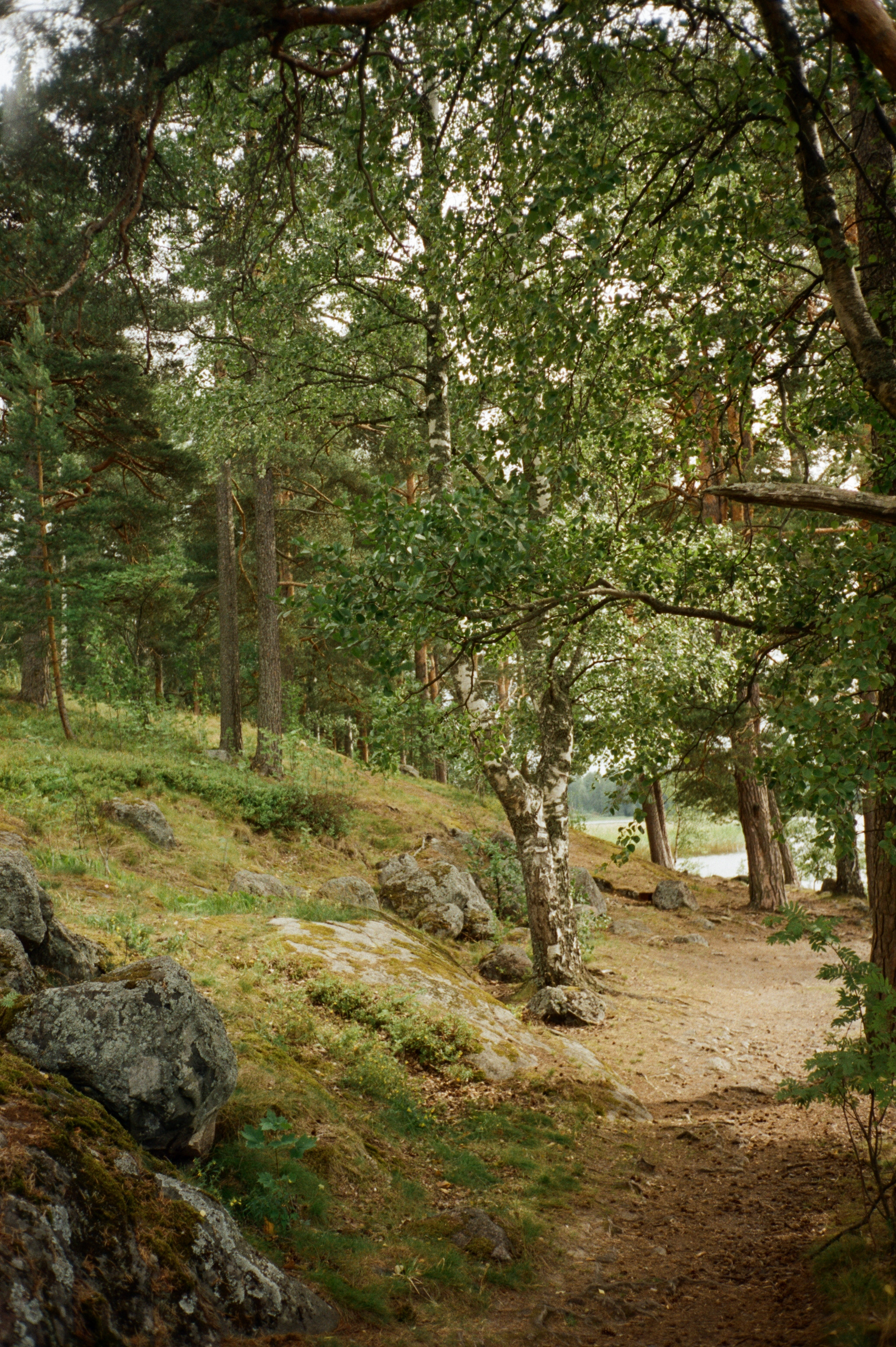 Остров Каменистый на реке Вуокса: экотропа в сосновом лесу, скалы и пл. Фотограф-документалист Мария Осокина