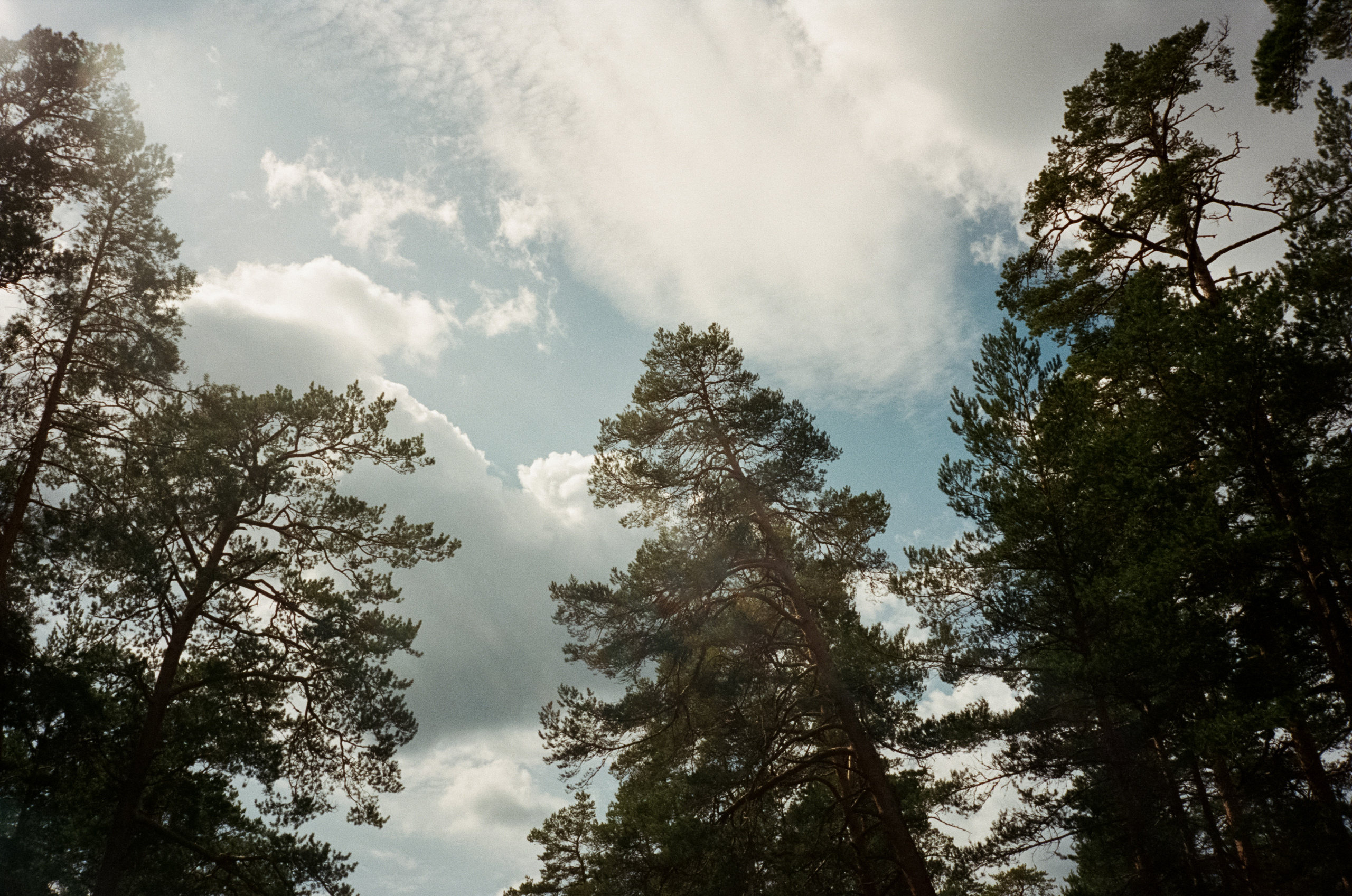 Остров Коневец. Конь-камень, берег Ладоги и Святая гора. Фотограф-документалист Мария Осокина