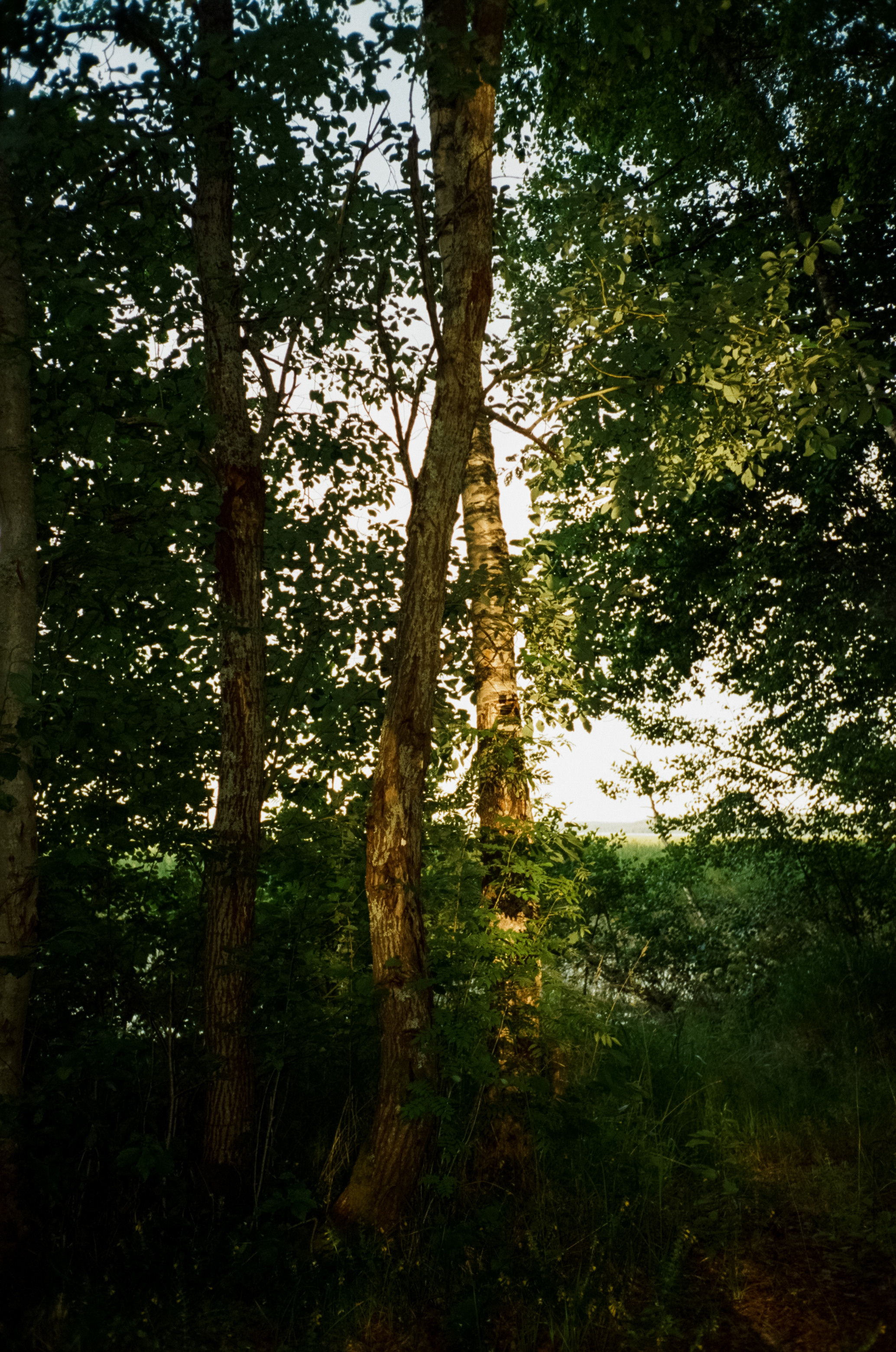 Вечер на озере Отрадное. Фотограф-документалист Мария Осокина