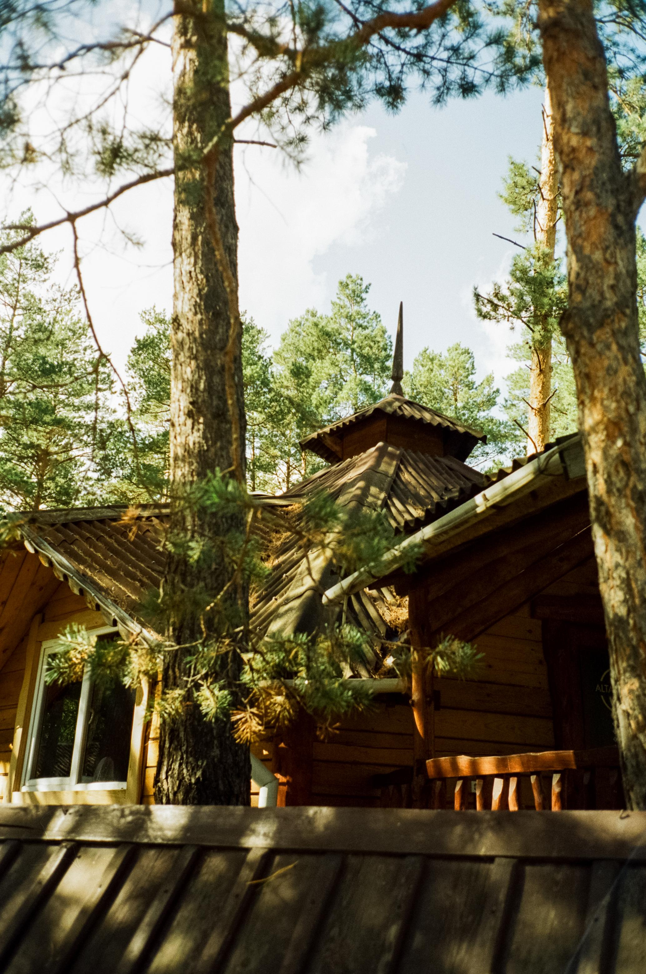 База Altai Star: сосновый лес, теремки и берег Катуни. Фотограф-документалист Мария Осокина