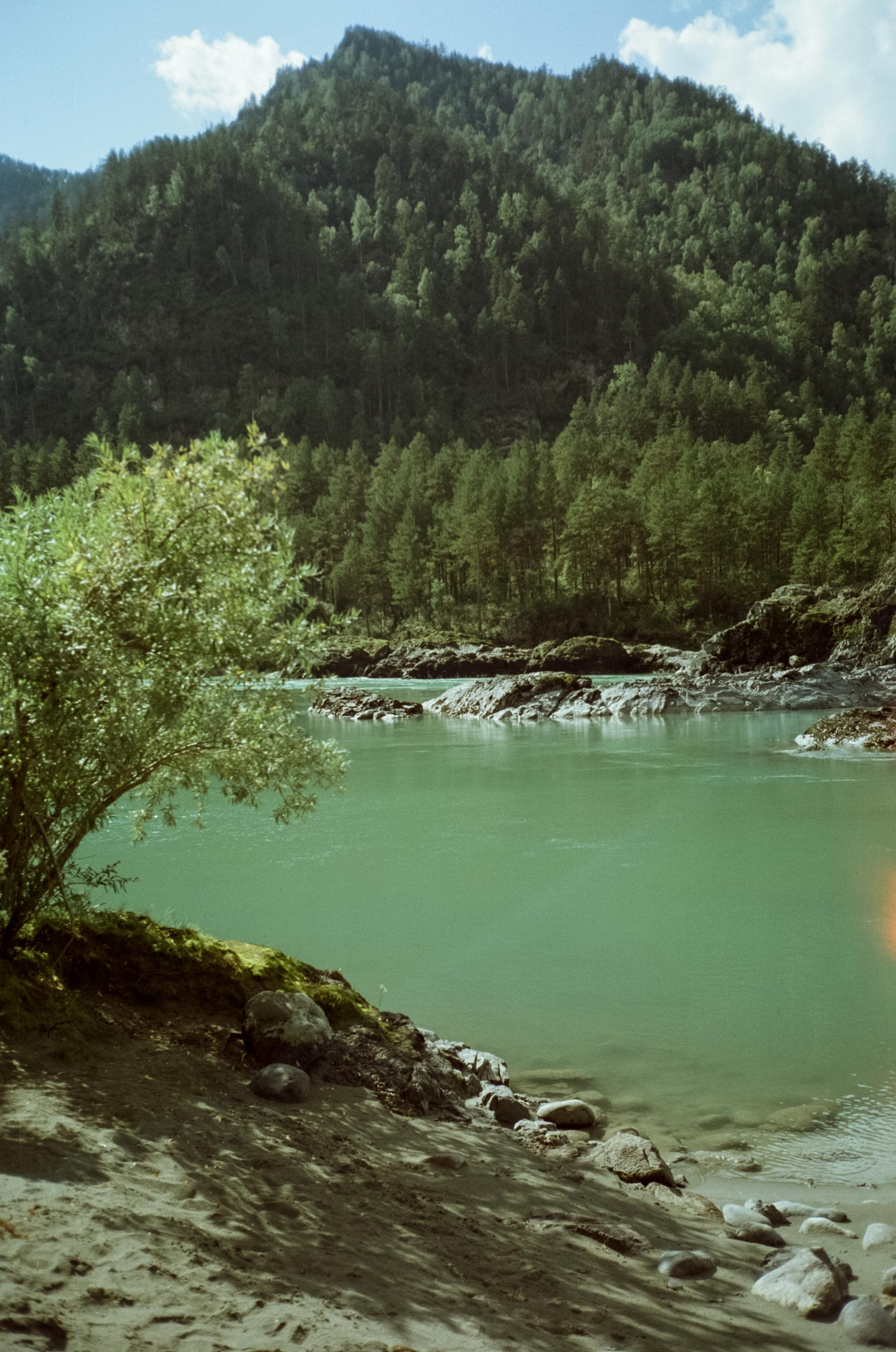 Кедровый остров на Катуни. Фотограф-документалист Мария Осокина