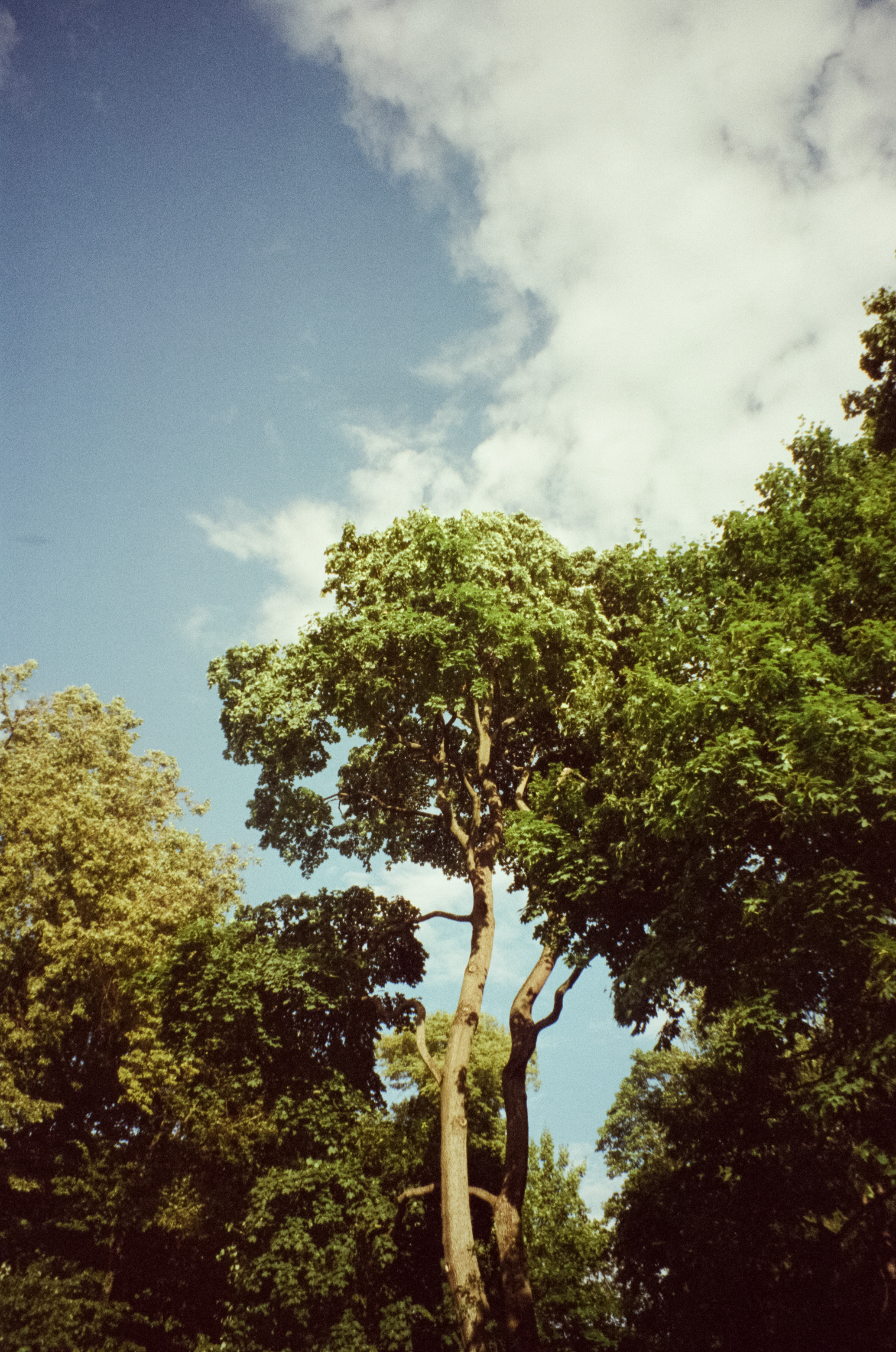 Прогулка по Питеру в солнечный день. Фотограф-документалист Мария Осокина