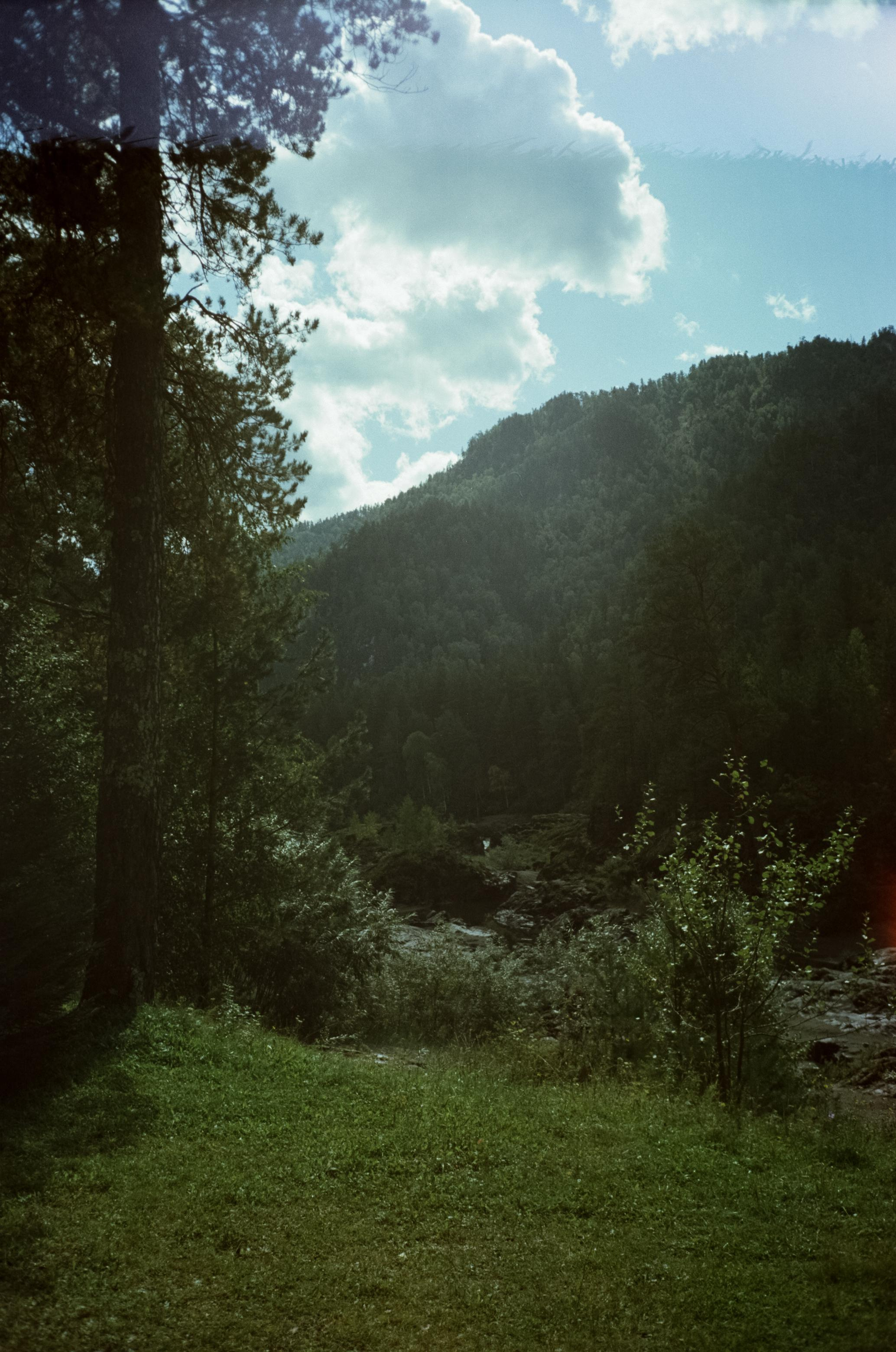 Кедровый остров на Катуни. Фотограф-документалист Мария Осокина
