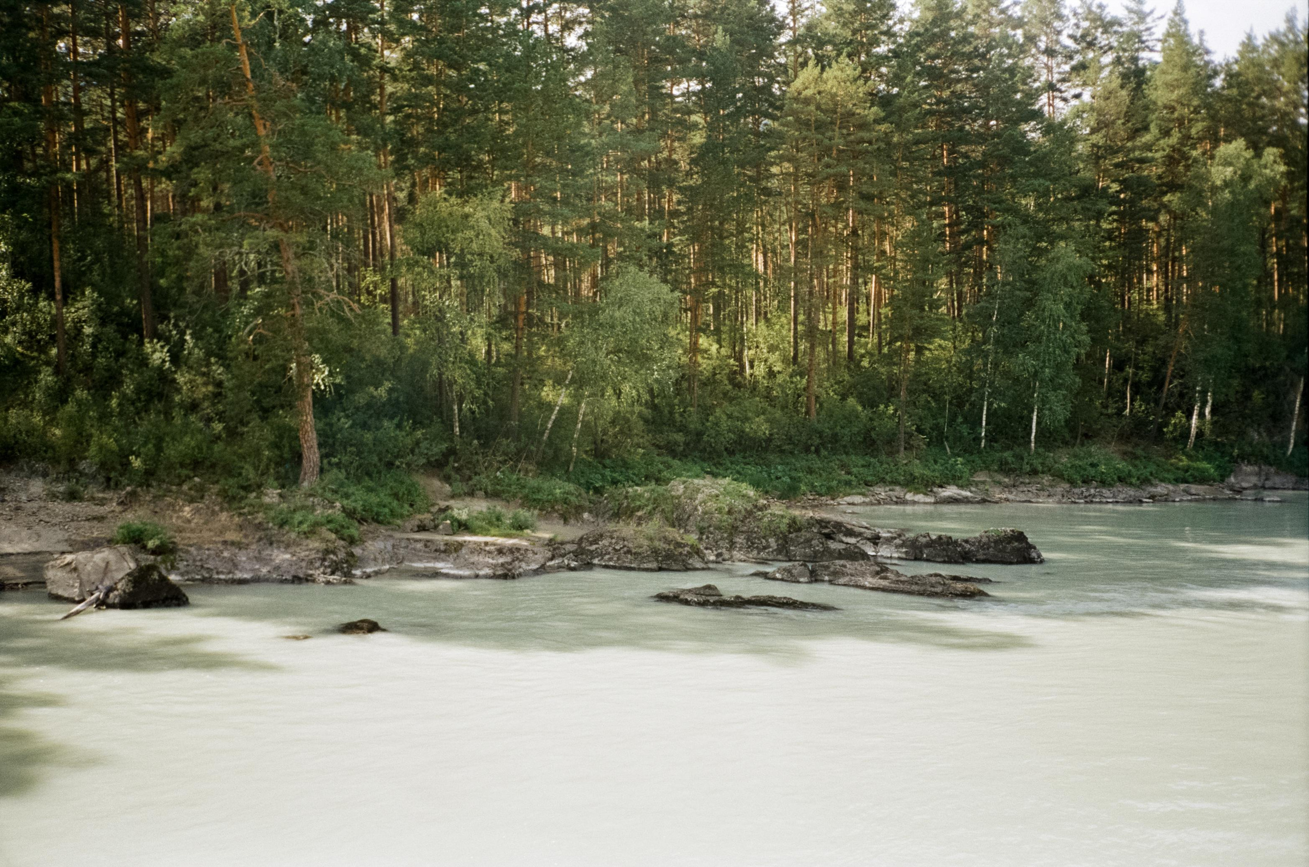 Мосты к Камышлинскому водопаду и Зубам Дракона. Фотограф-документалист Мария Осокина