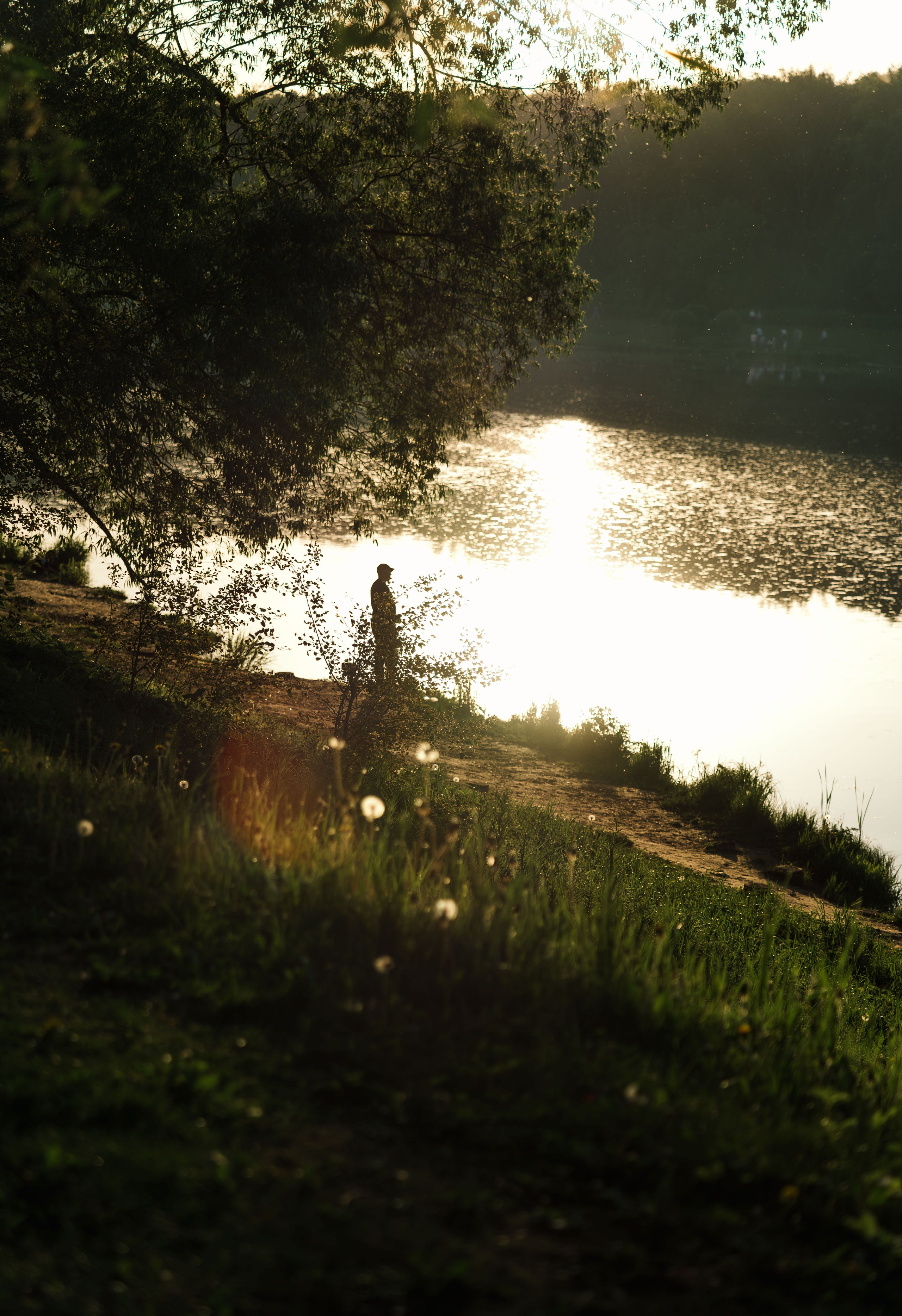 Жизнь в цветах. Алексей Гаас — фотограф