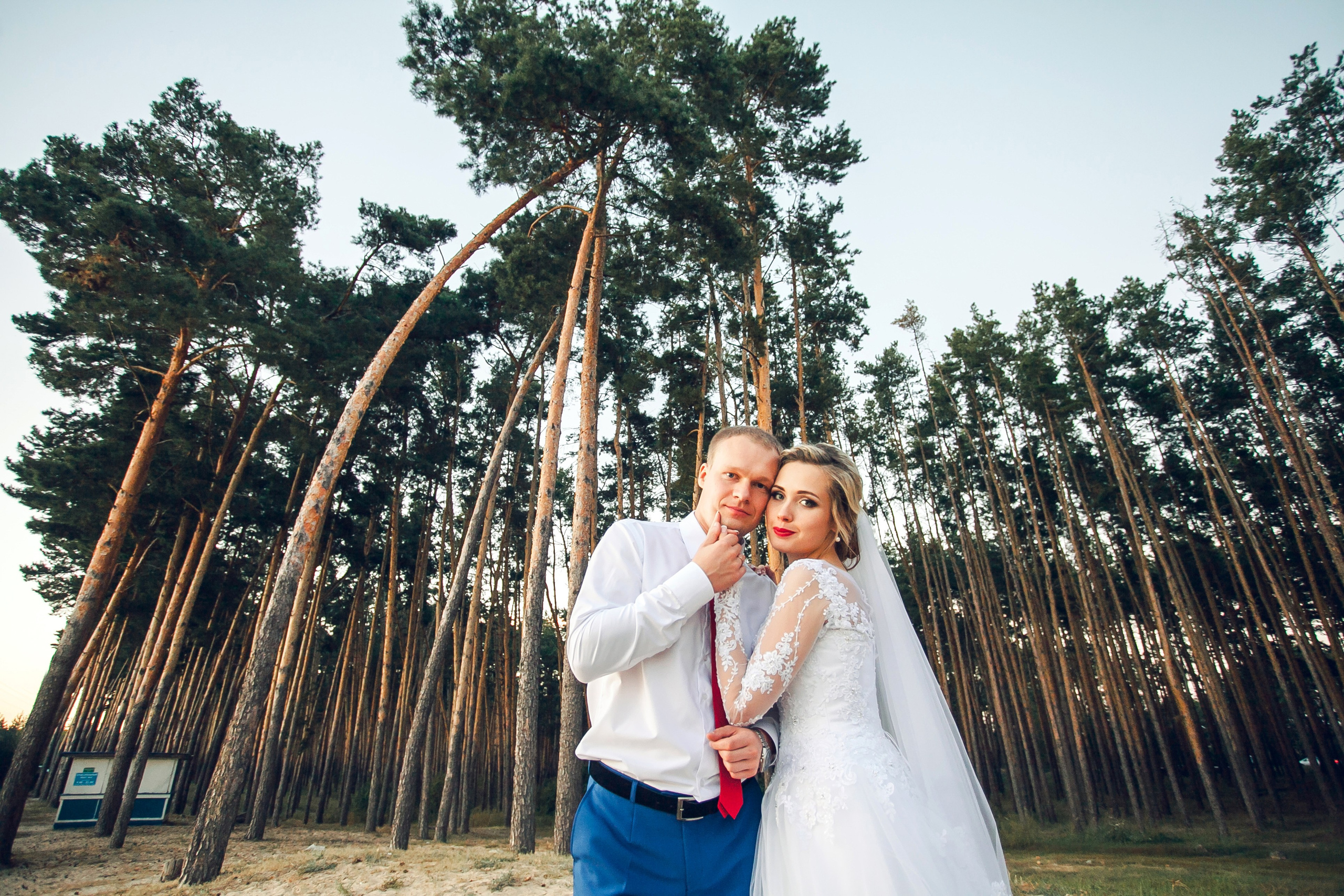 Сергей и Яна. Свадебный фотограф в Алексеевке Сергей Коротенко